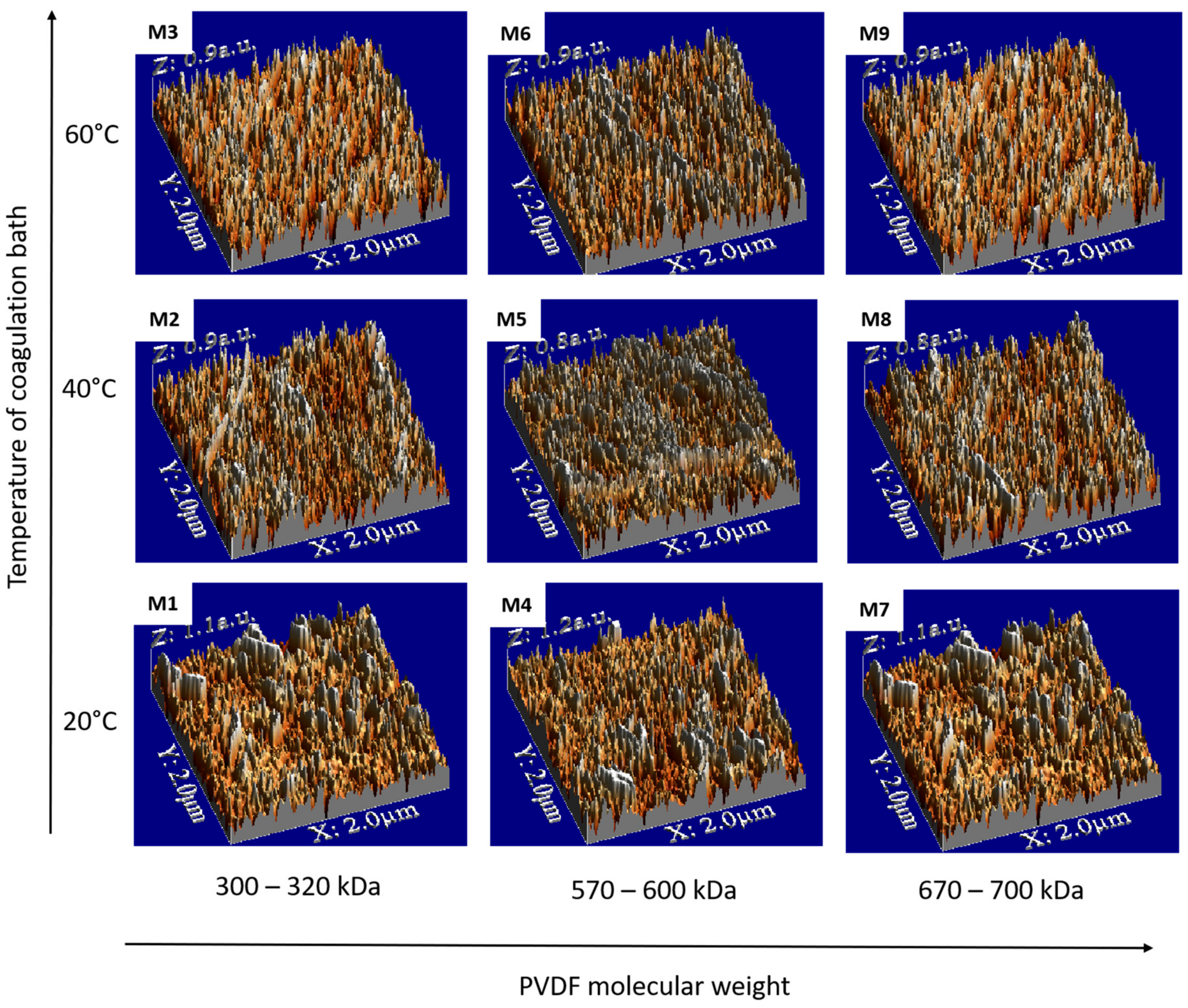 Polymers 09 00718 g006