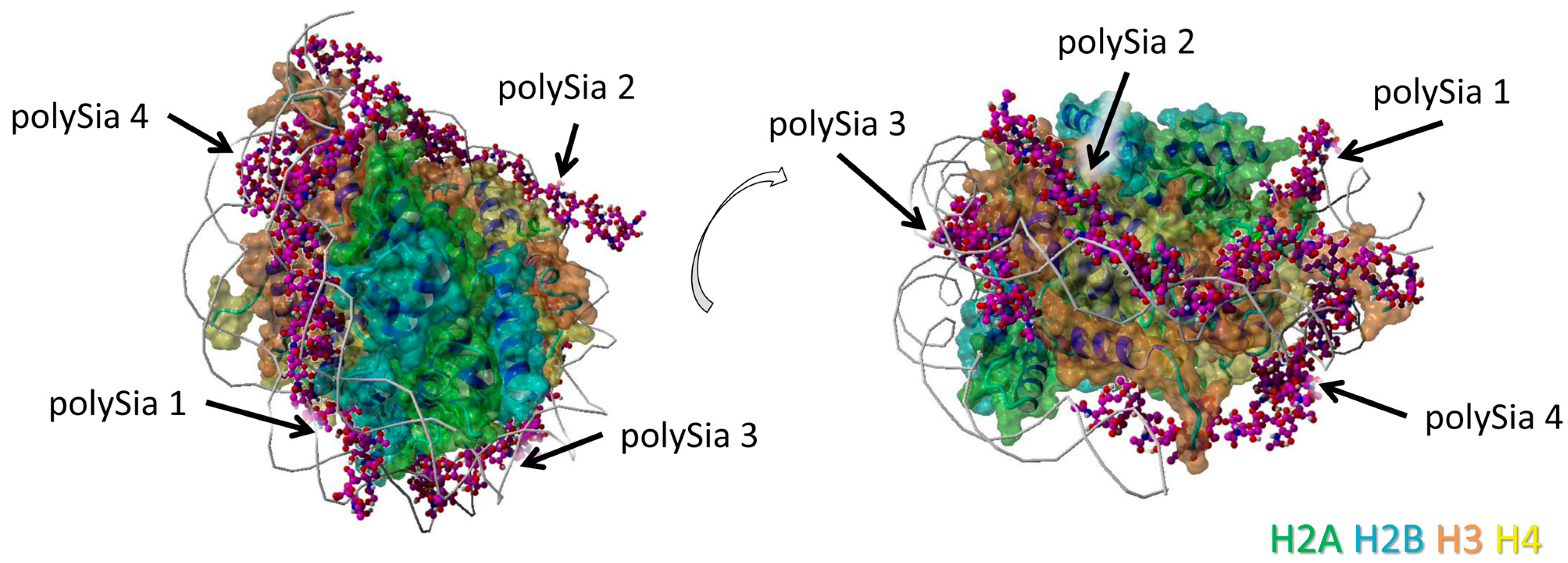 Polymers 09 00720 g001