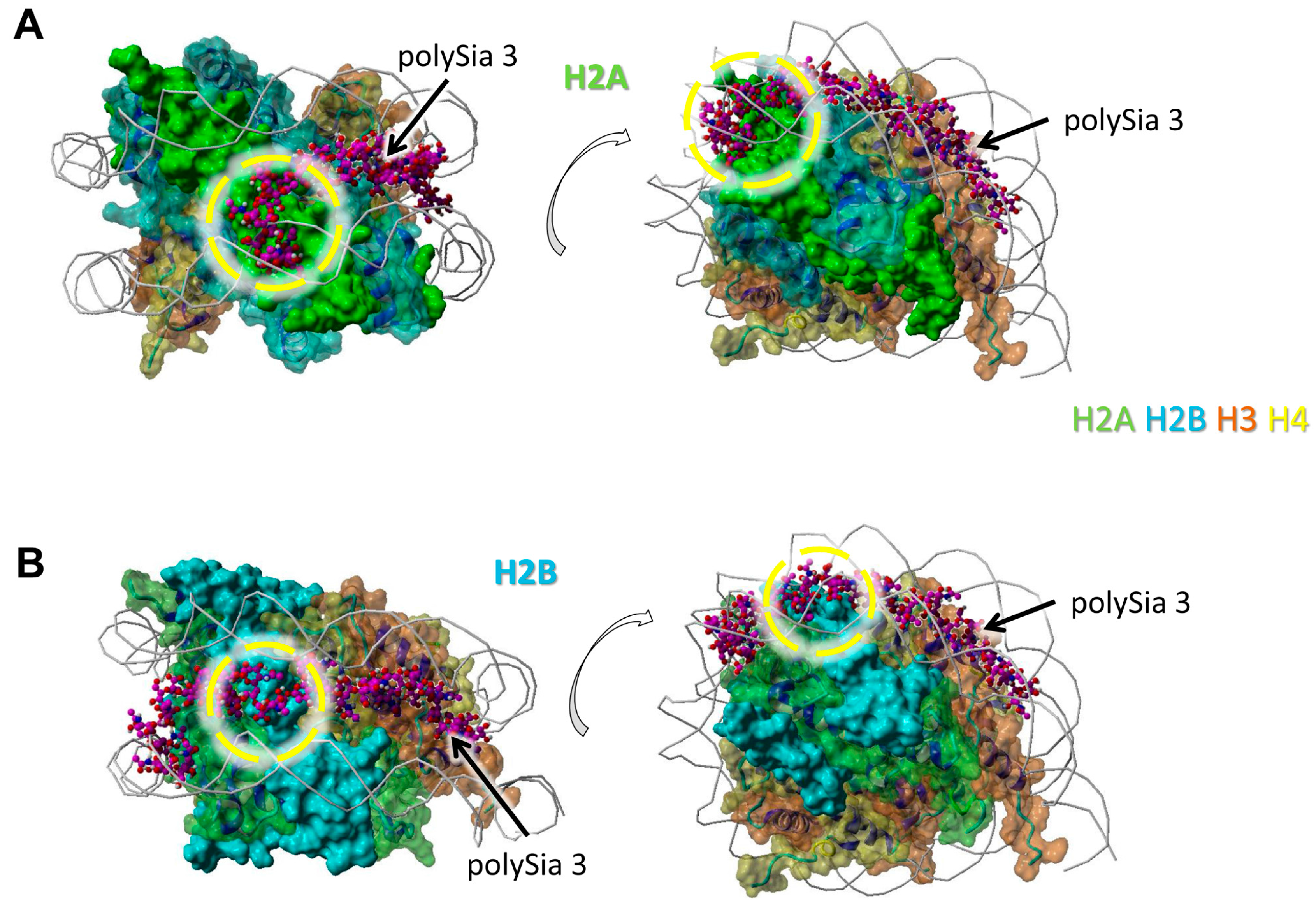 Polymers 09 00720 g002
