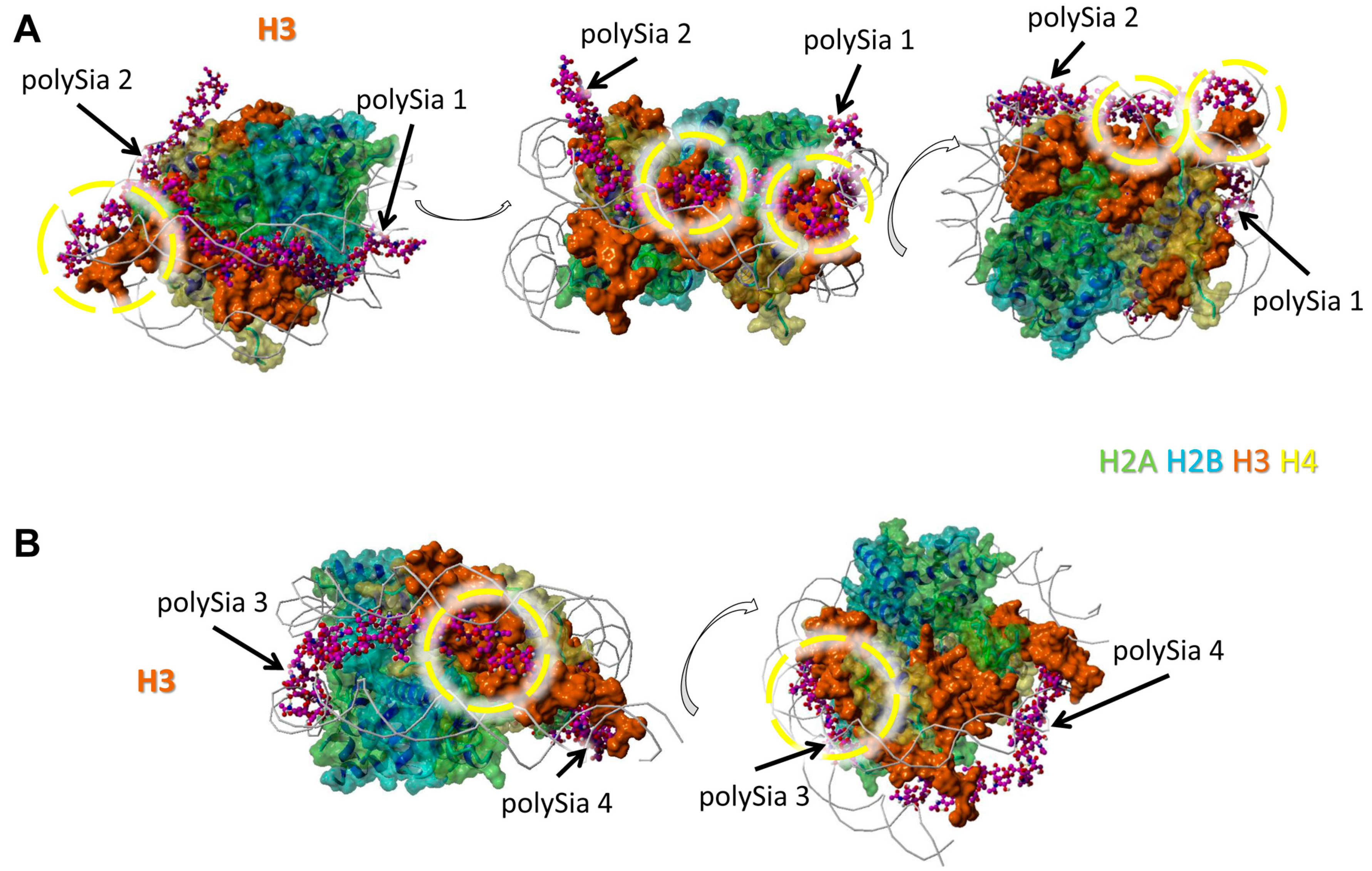 Polymers 09 00720 g003
