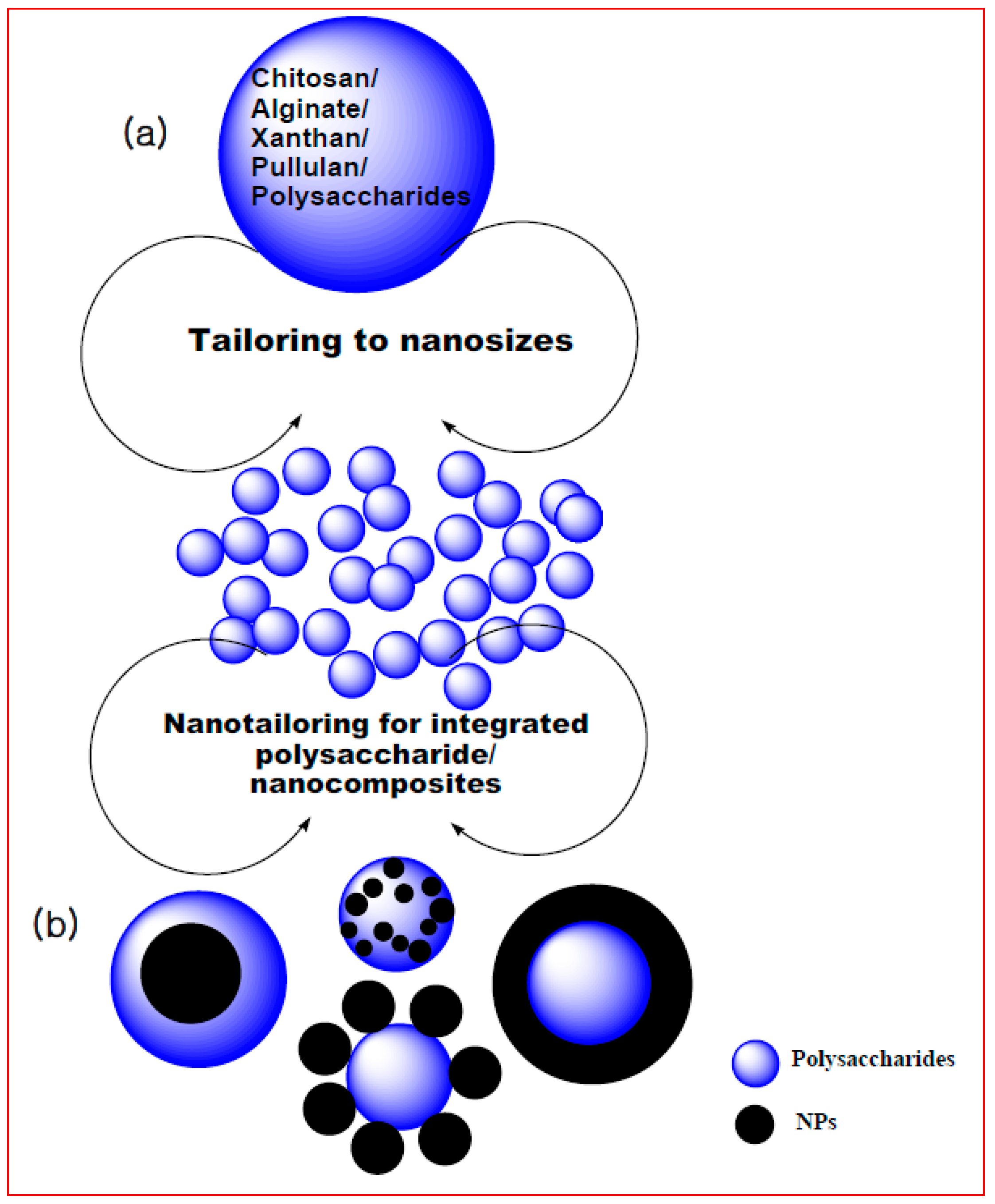Polymers 09 00721 g002