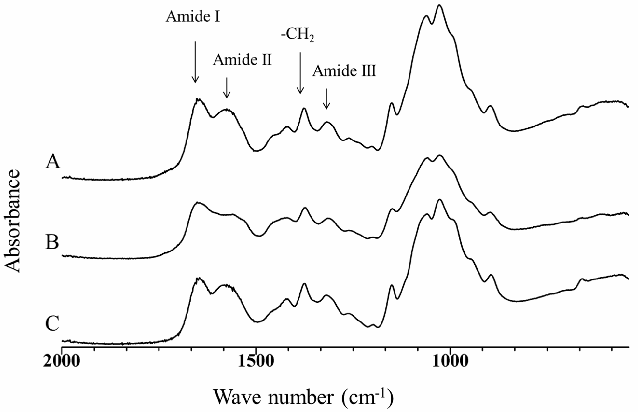 Polymers 09 00722 g002