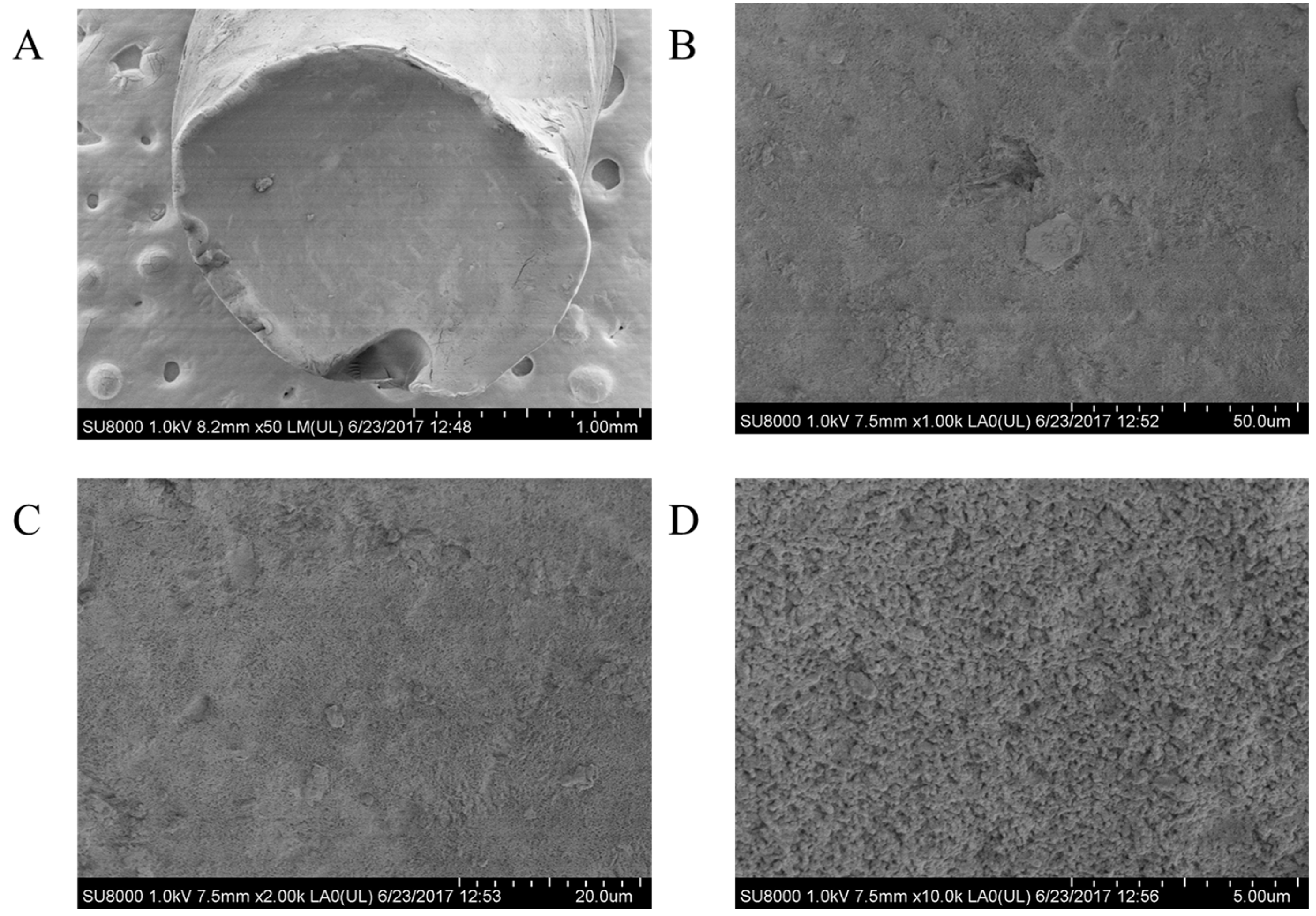 Polymers 09 00722 g005