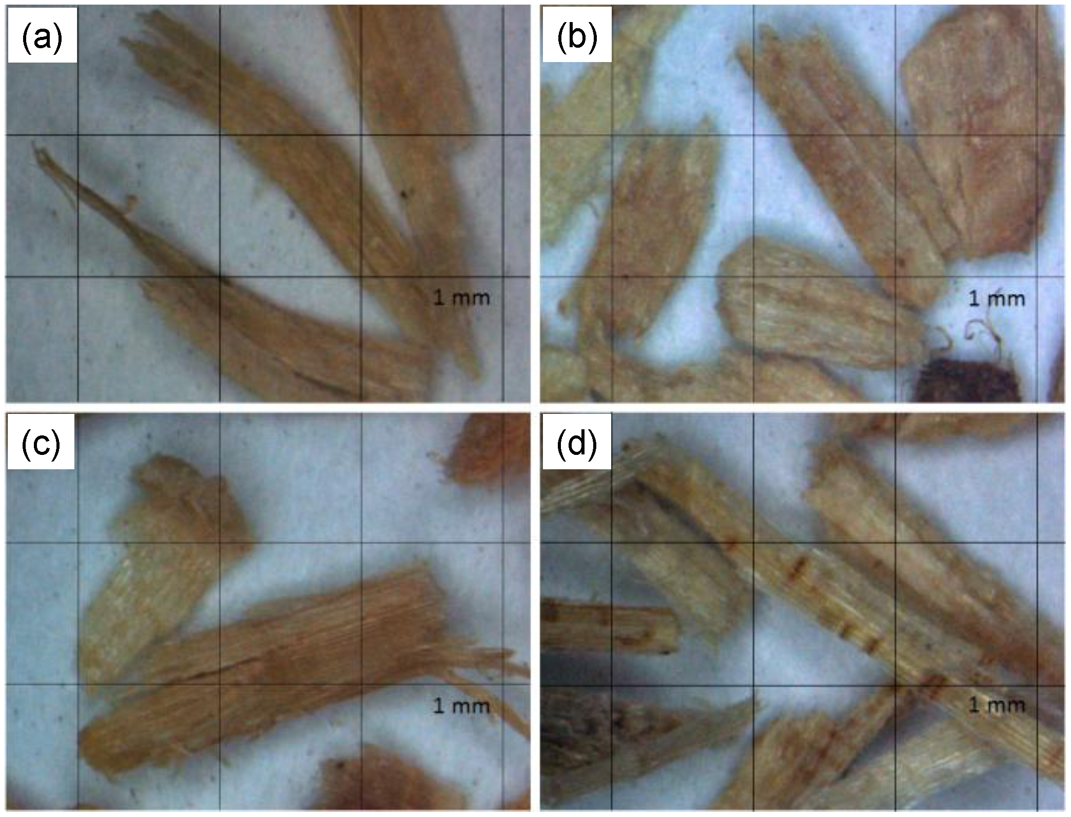 Polymers 09 00726 g001