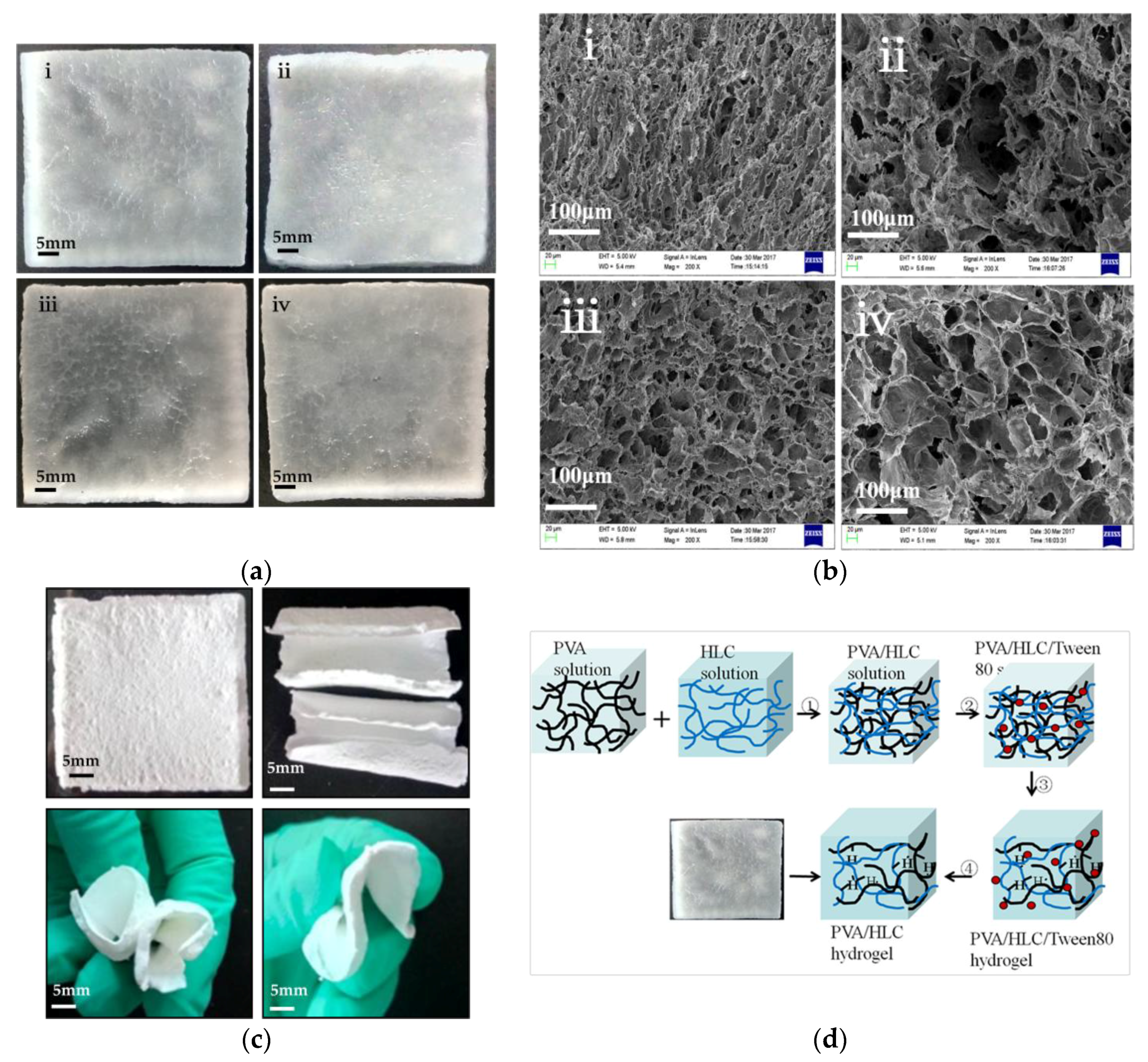 Polymers 09 00727 g001