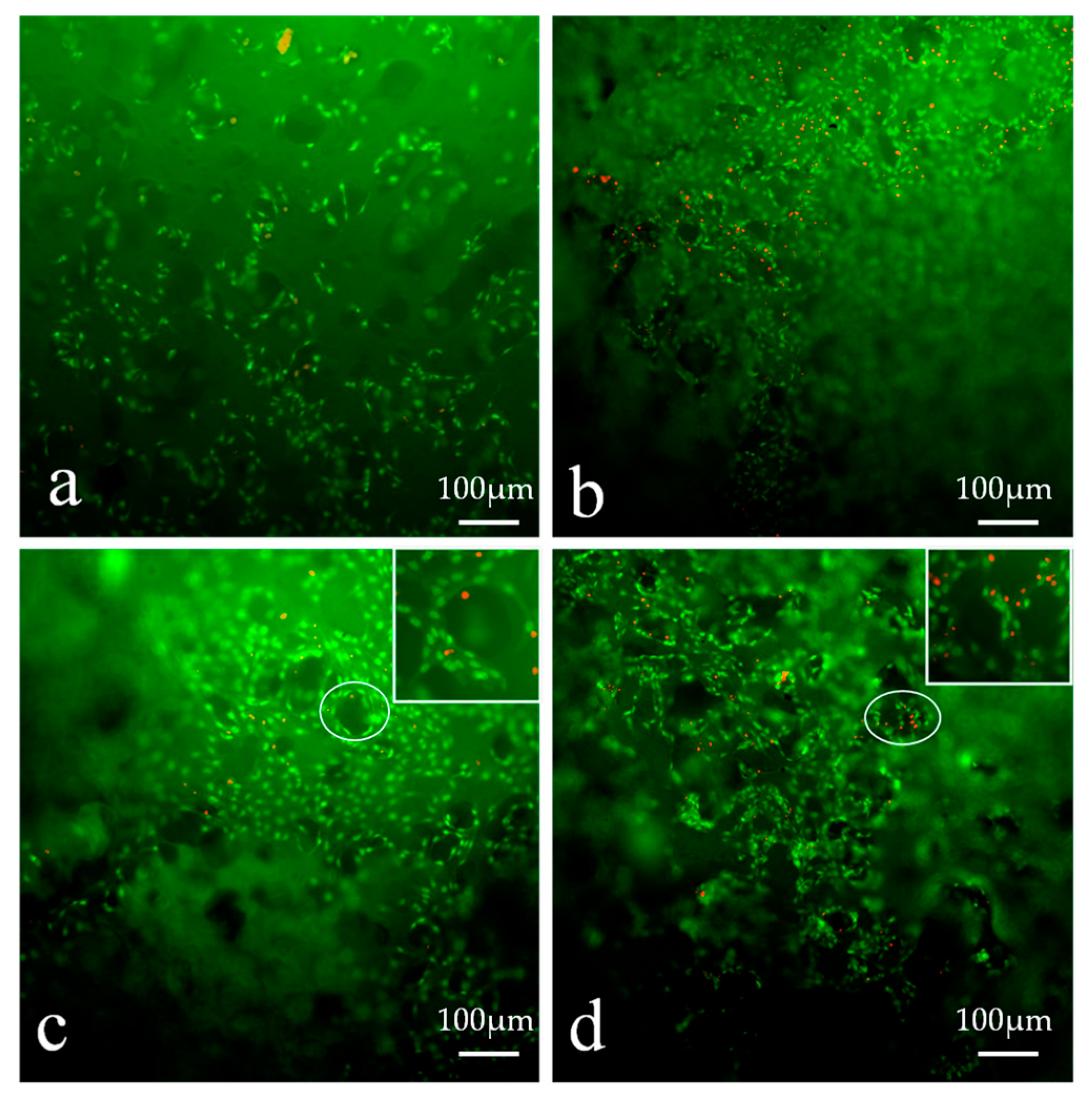 Polymers 09 00727 g013