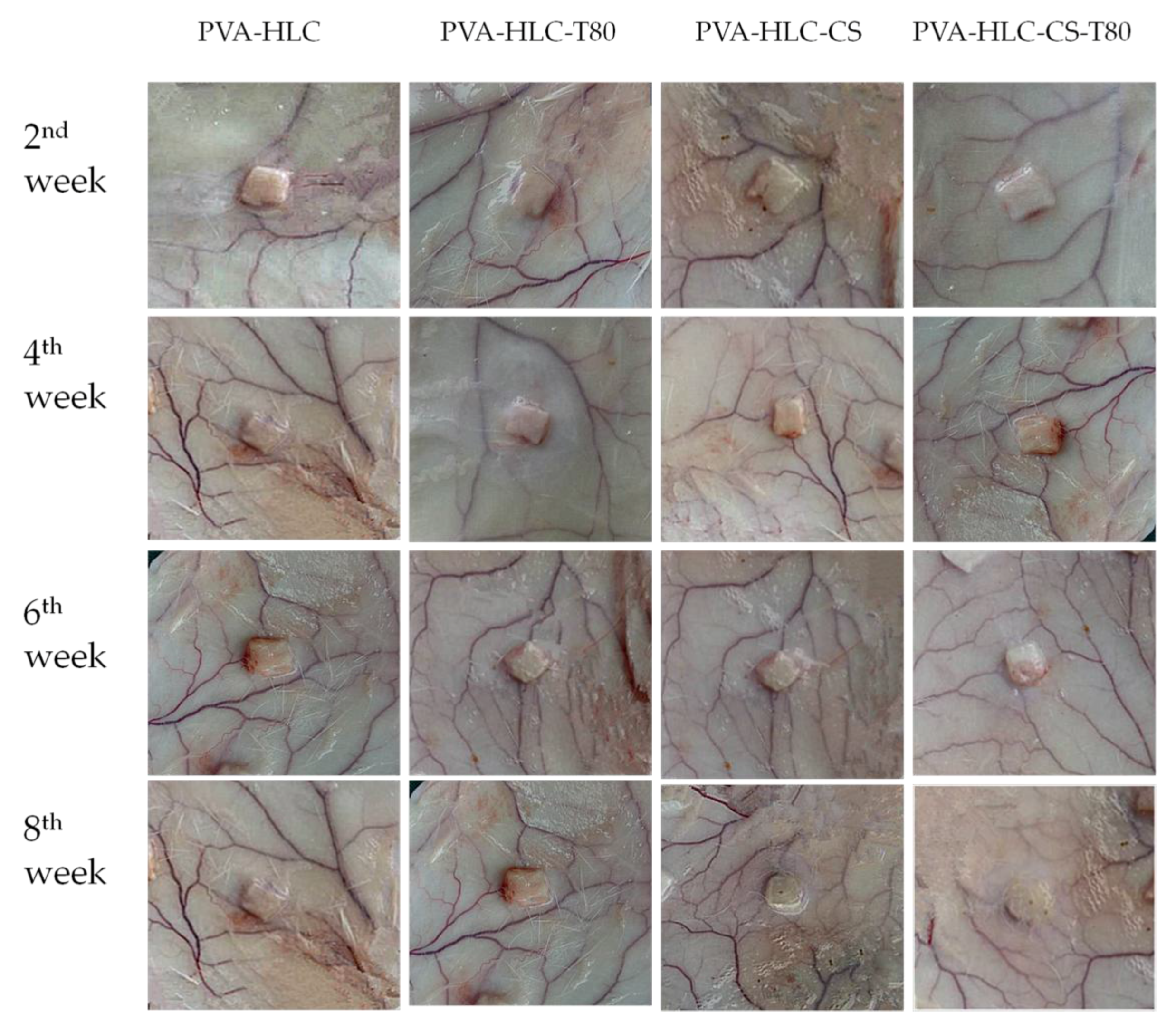 Polymers 09 00727 g014