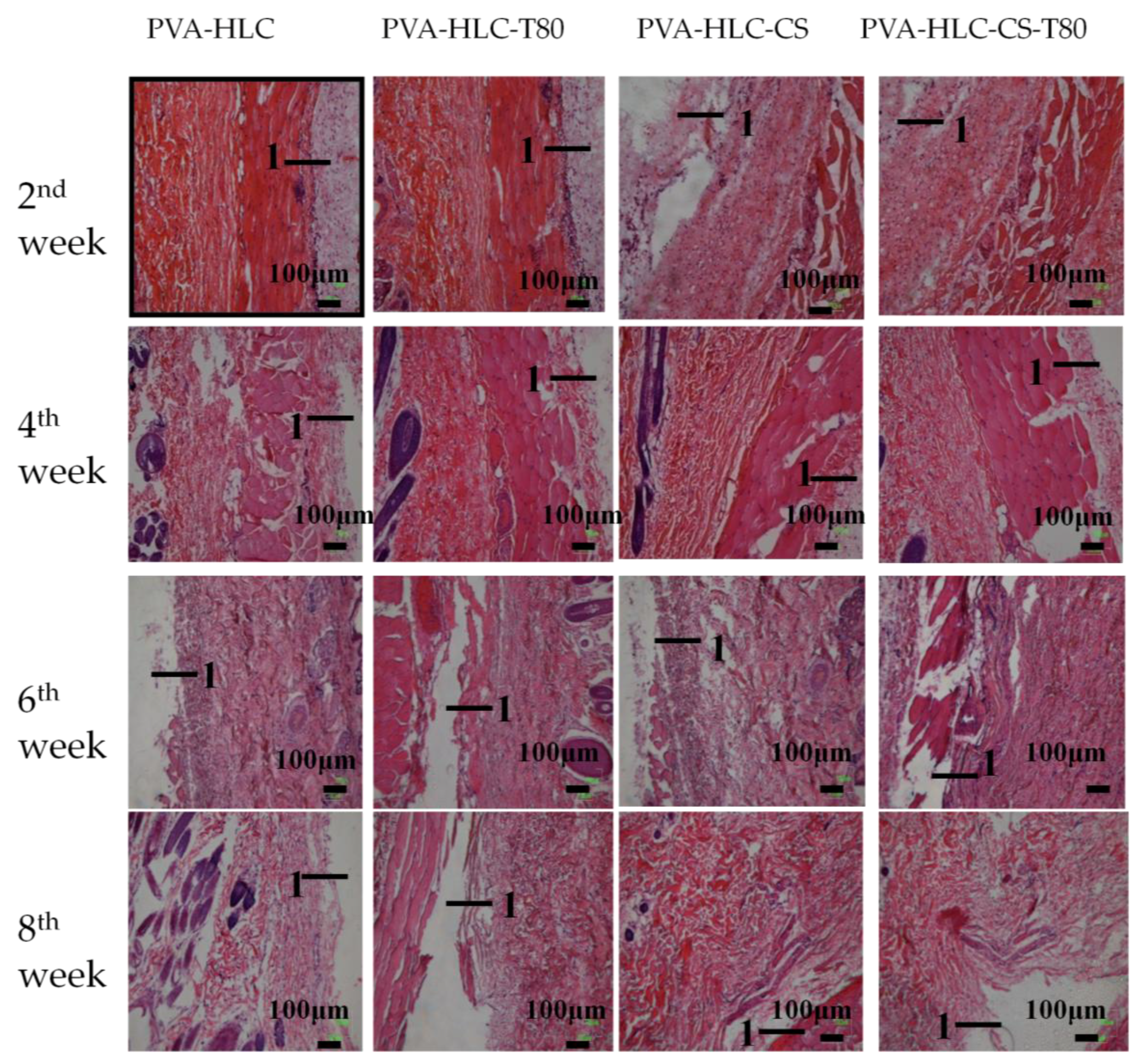 Polymers 09 00727 g015