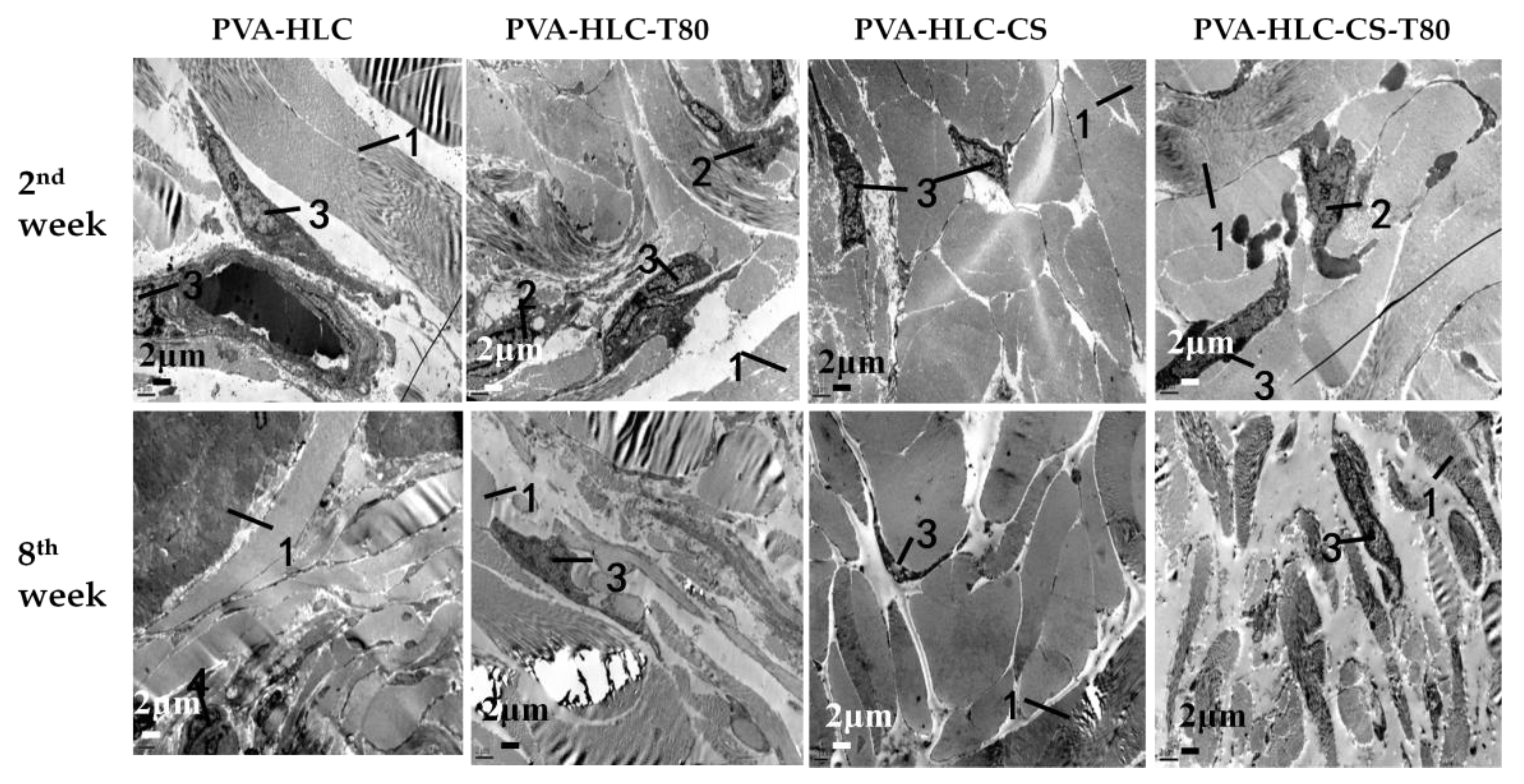 Polymers 09 00727 g016