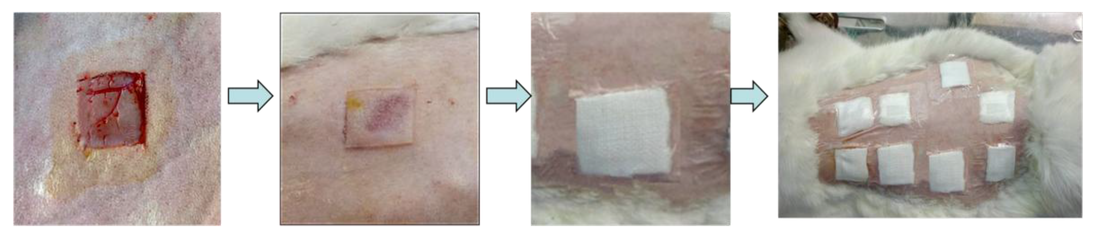 Polymers 09 00727 g017