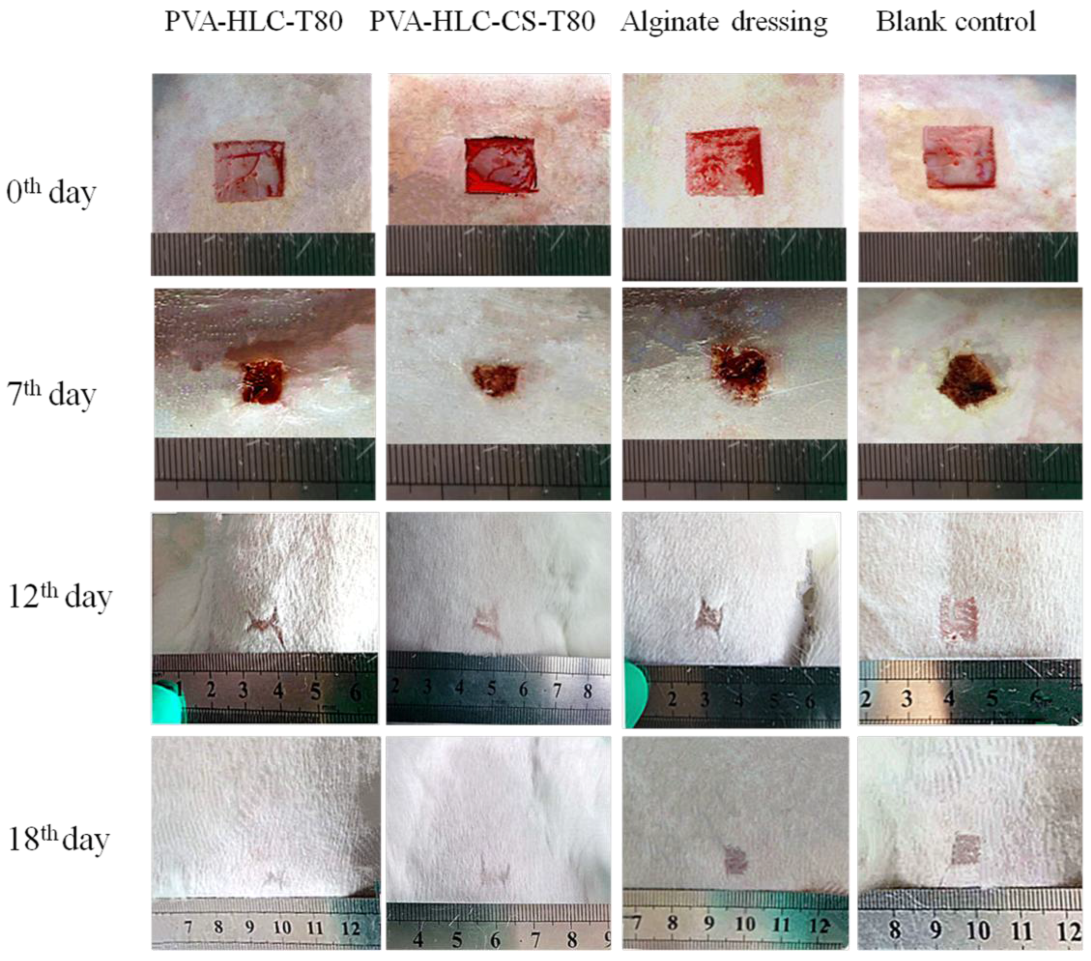 Polymers 09 00727 g018