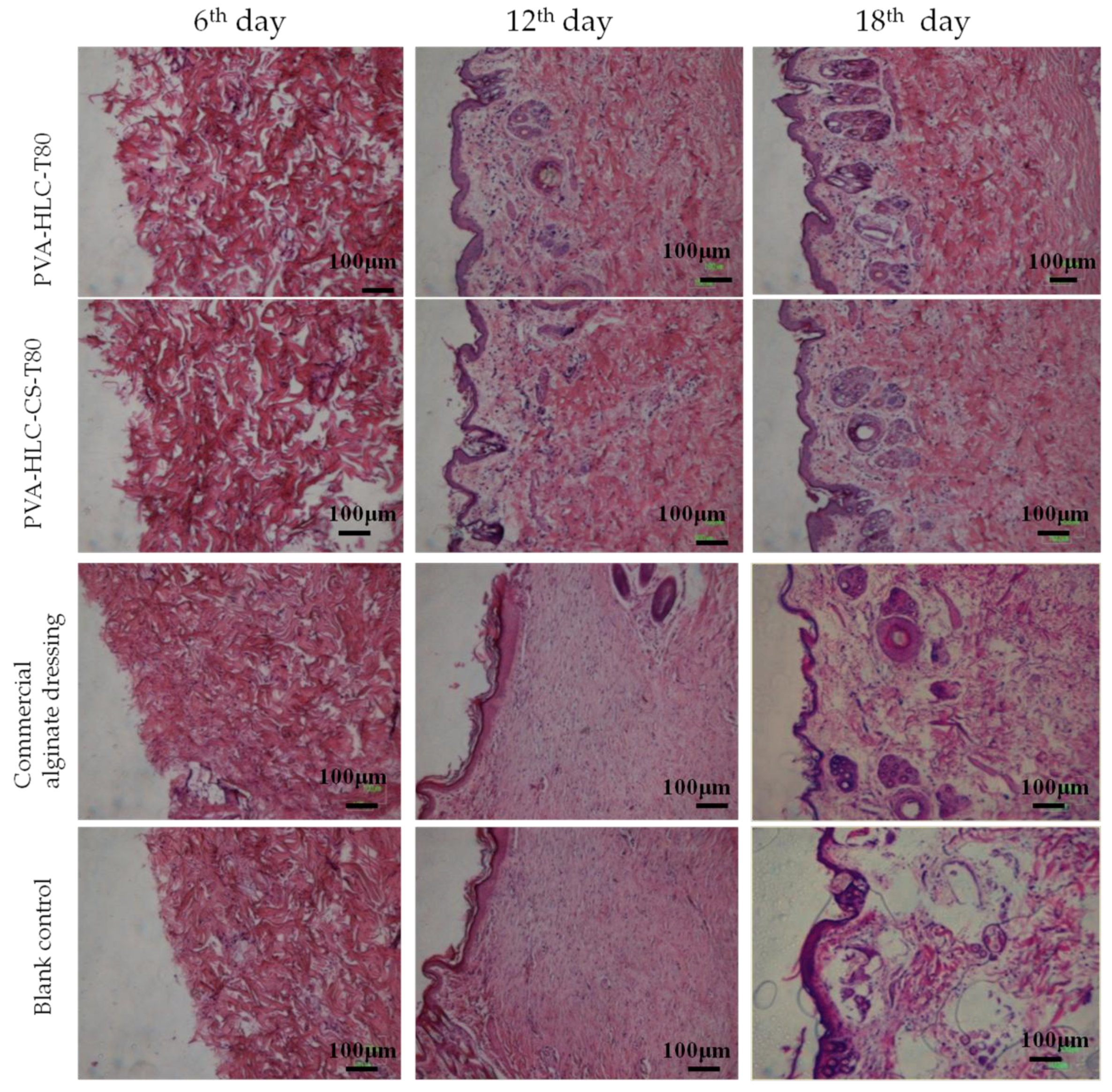 Polymers 09 00727 g020