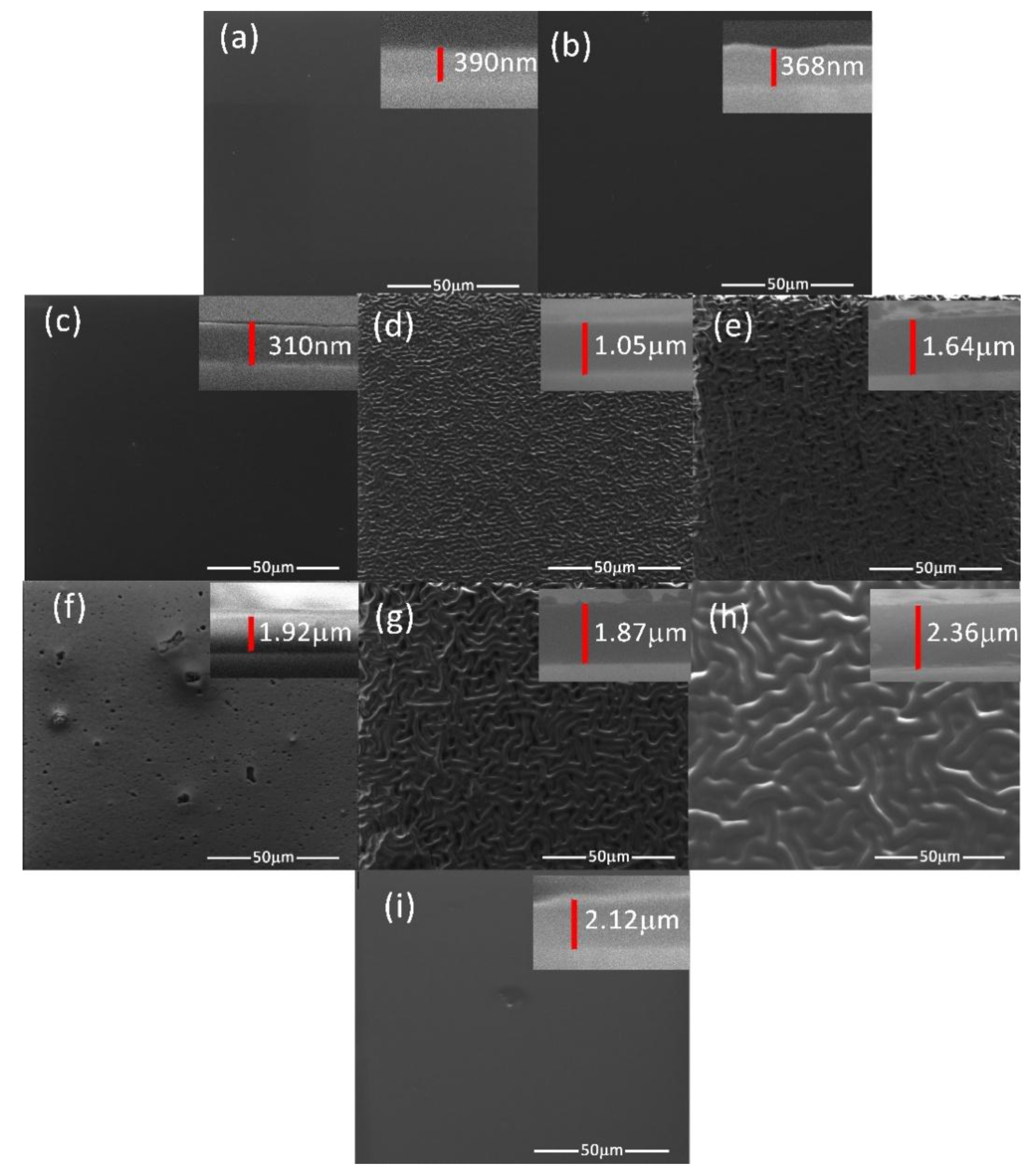 Polymers 09 00732 g004