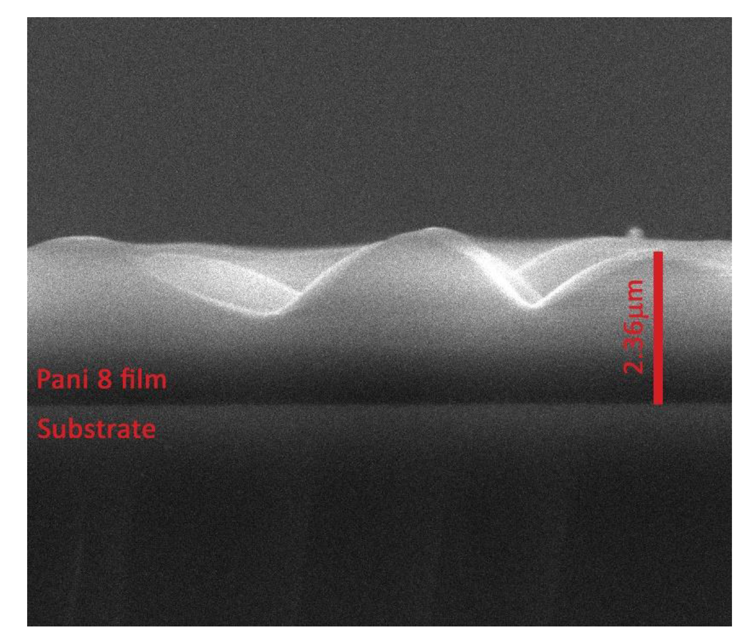 Polymers 09 00732 g005