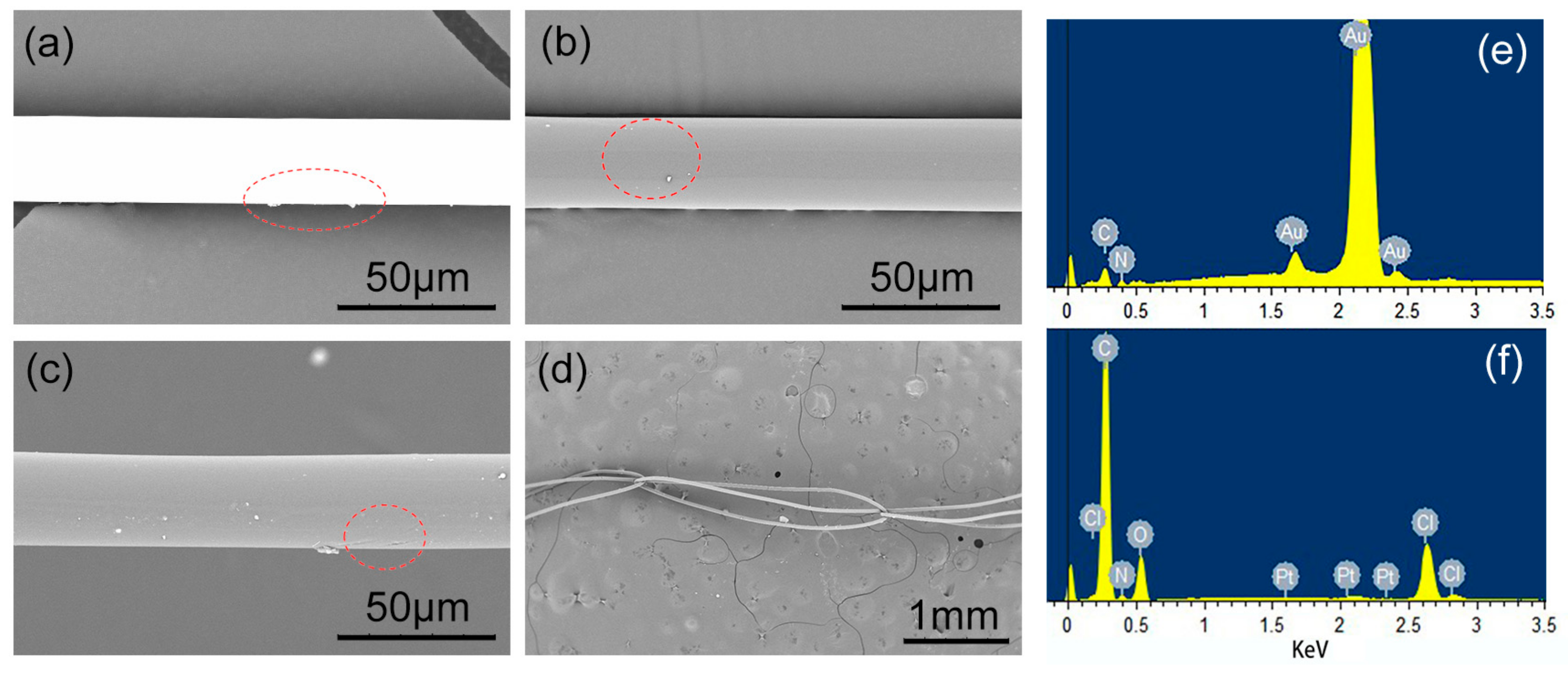 Polymers 09 00734 g004