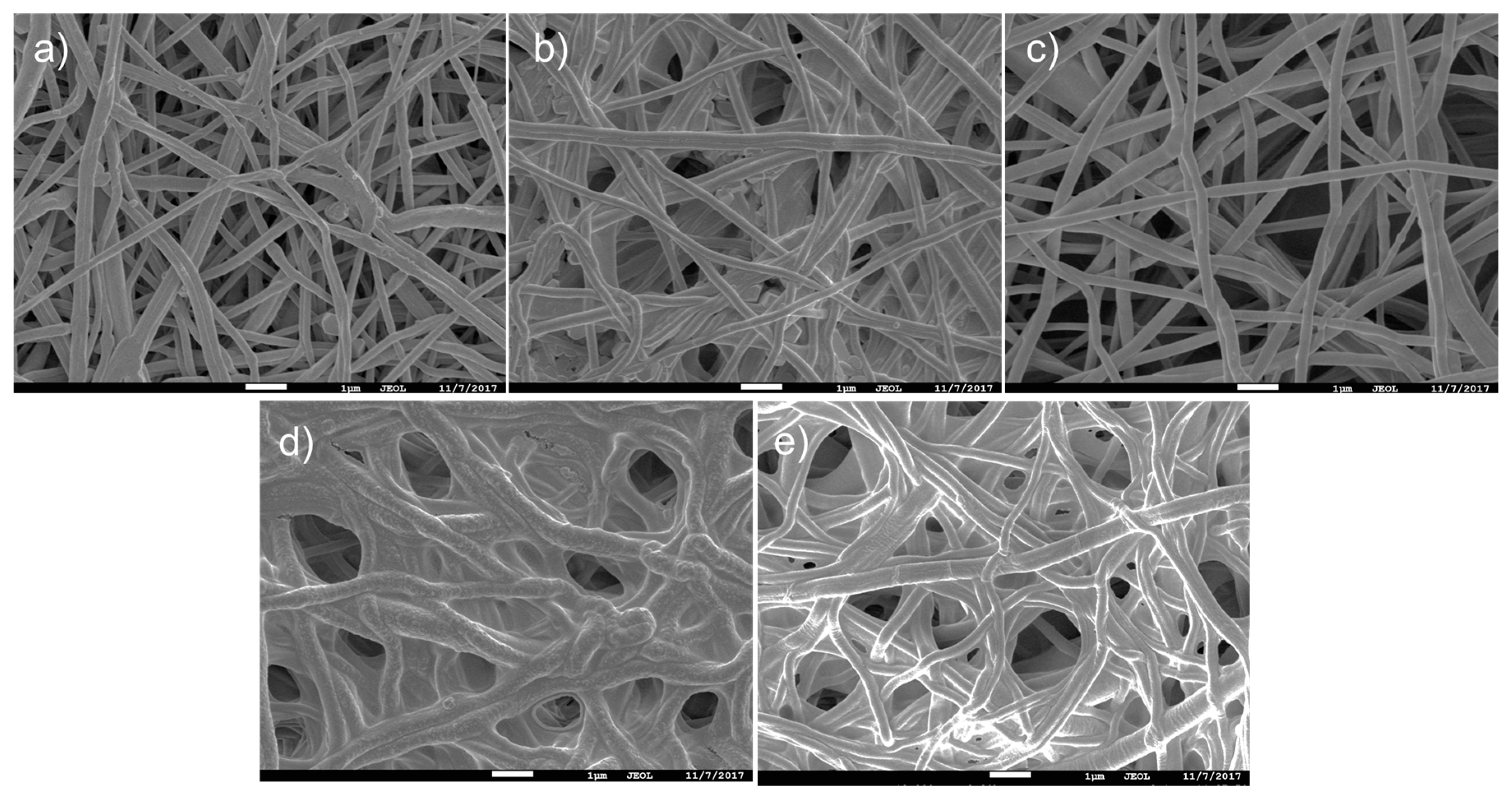 Polymers 09 00736 g001