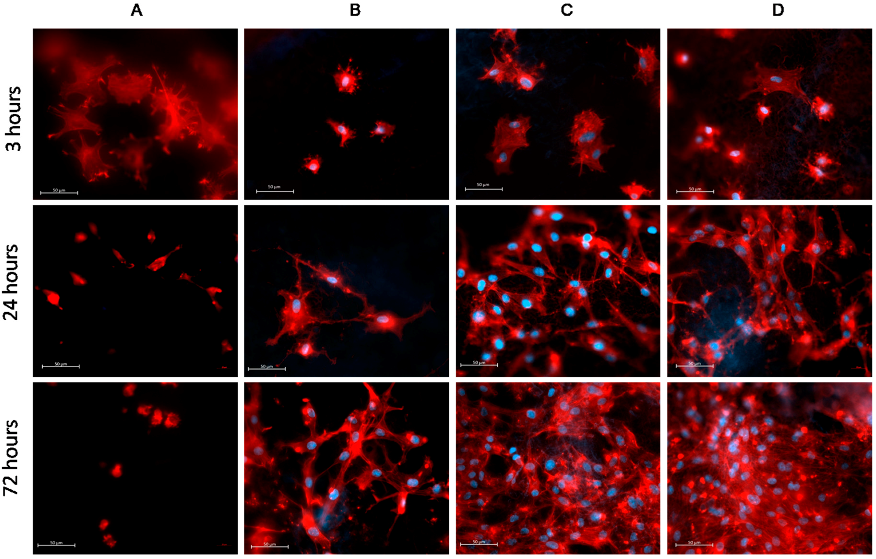 Polymers 09 00736 g004