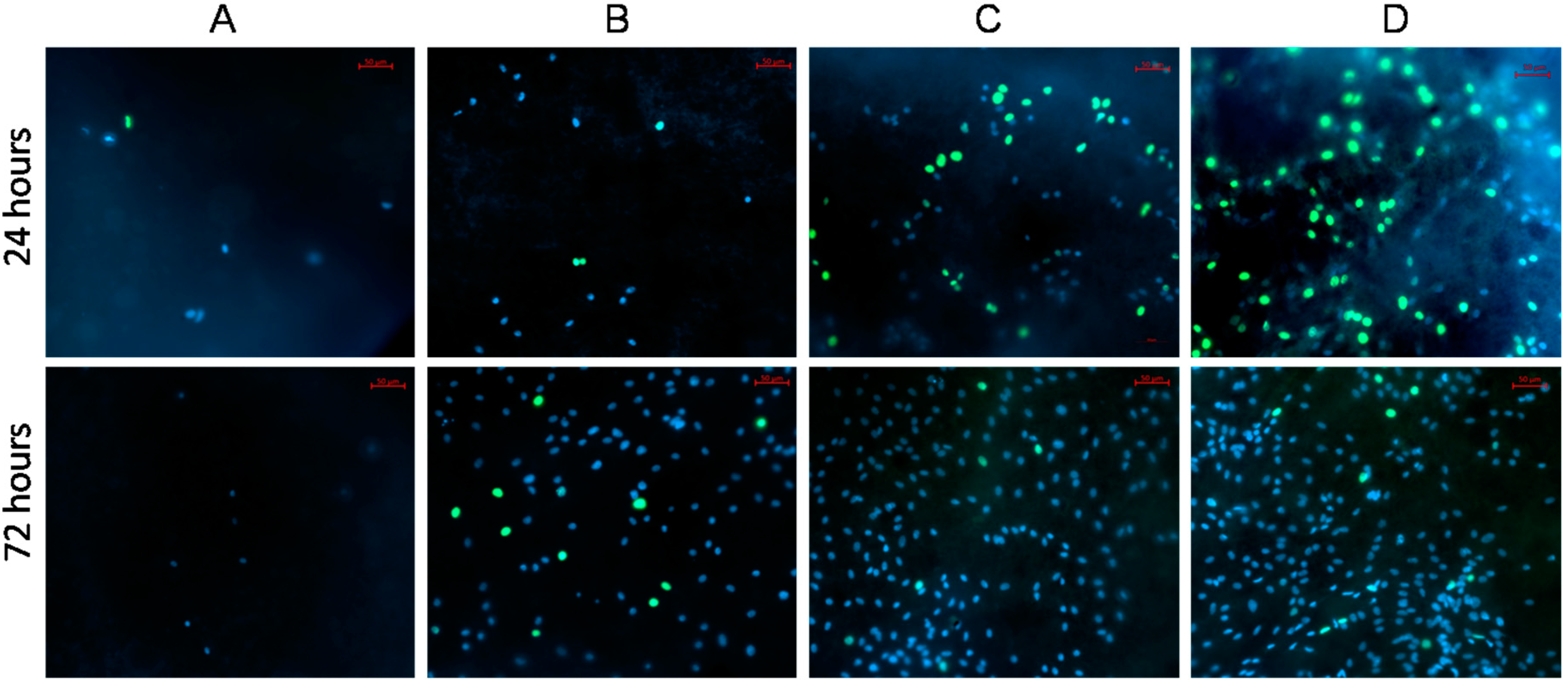 Polymers 09 00736 g006