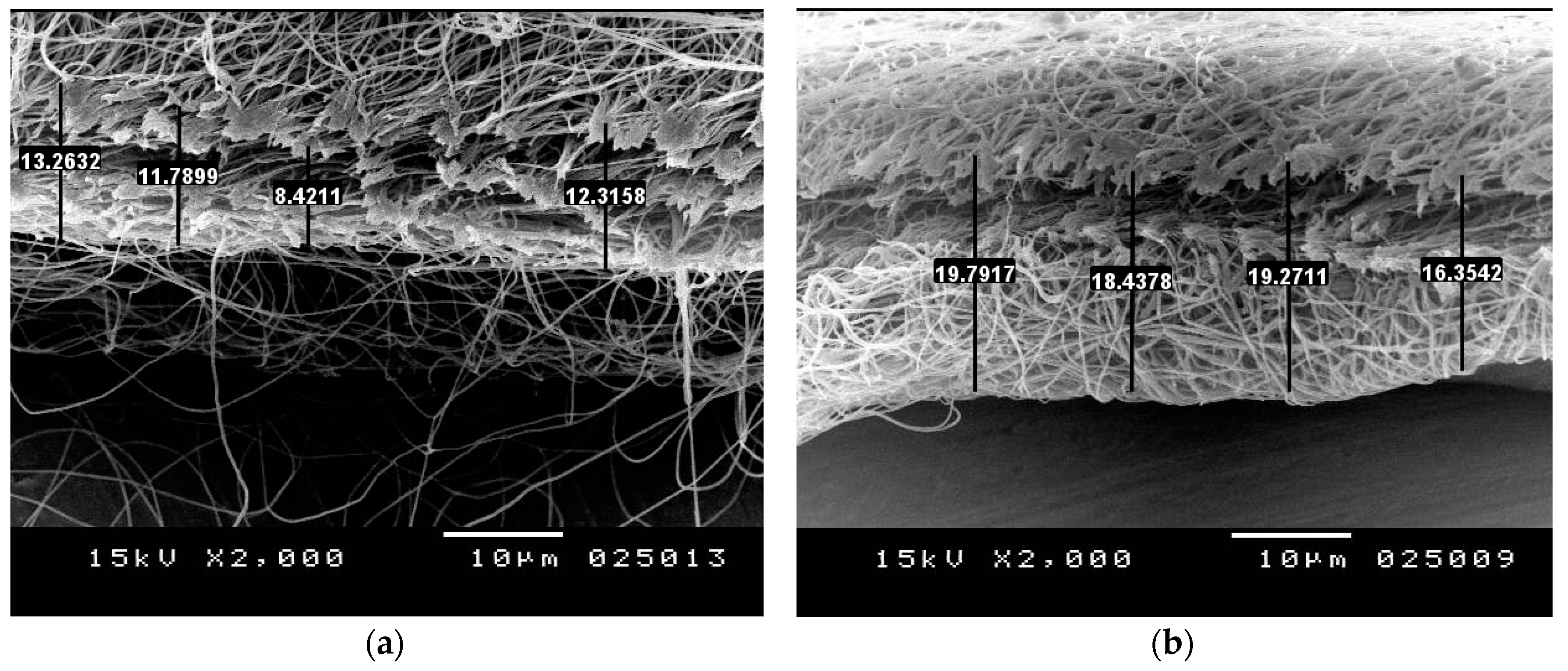 Polymers 10 00012 g010