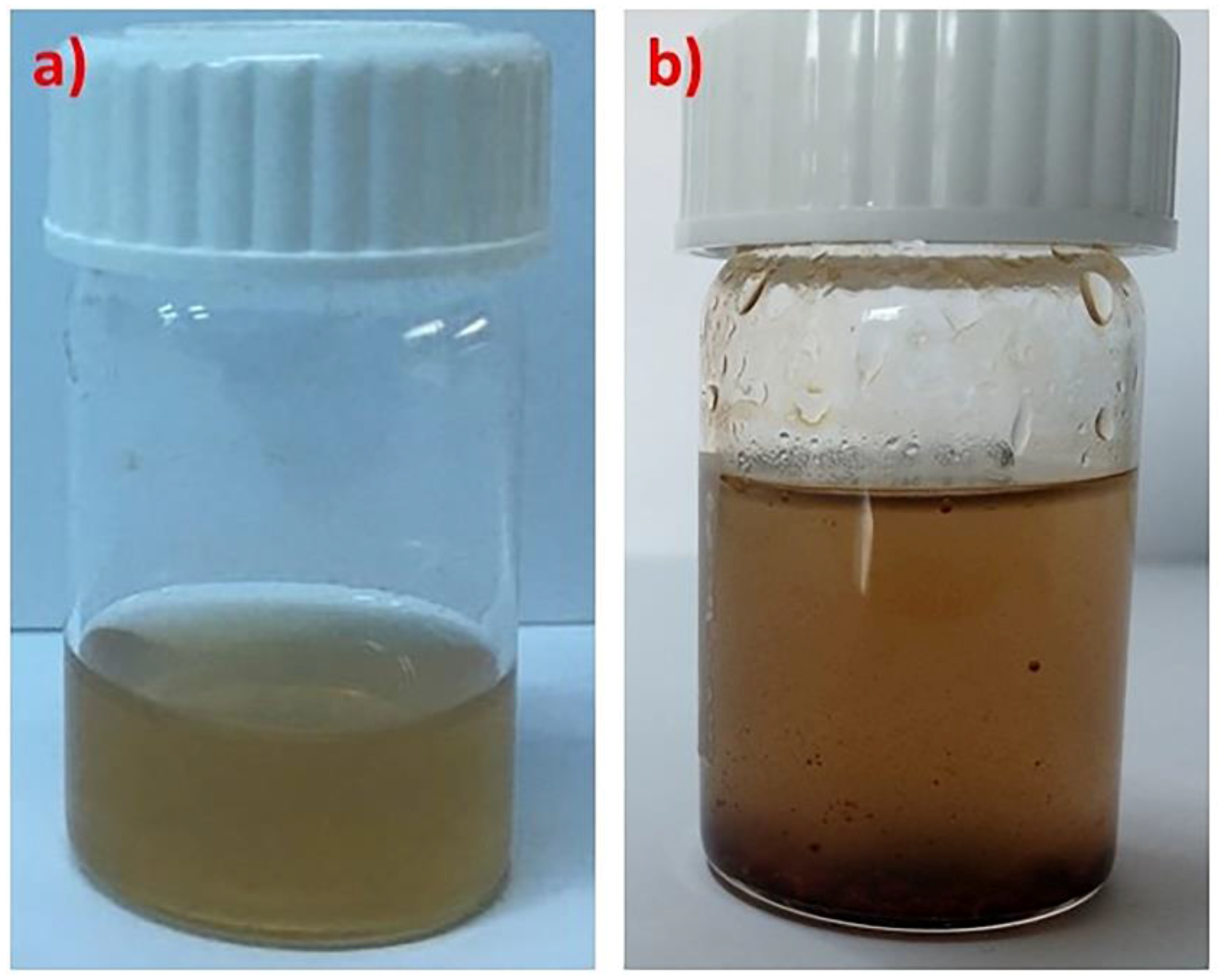 Polymers 10 00014 g001