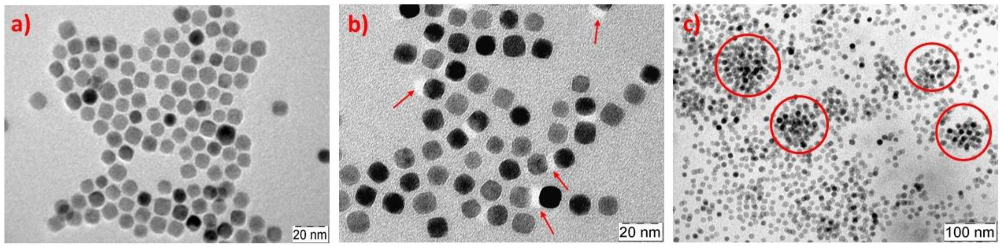 Polymers 10 00014 g005
