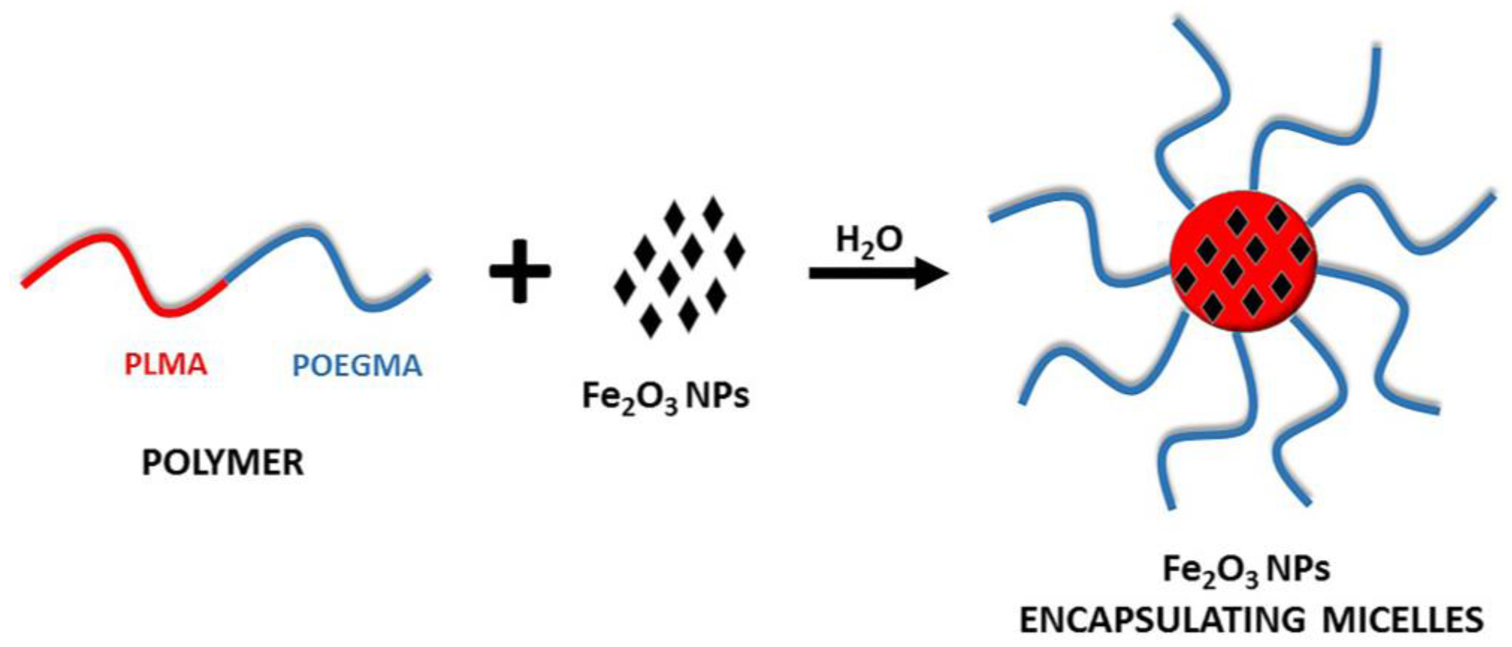 Polymers 10 00014 sch001