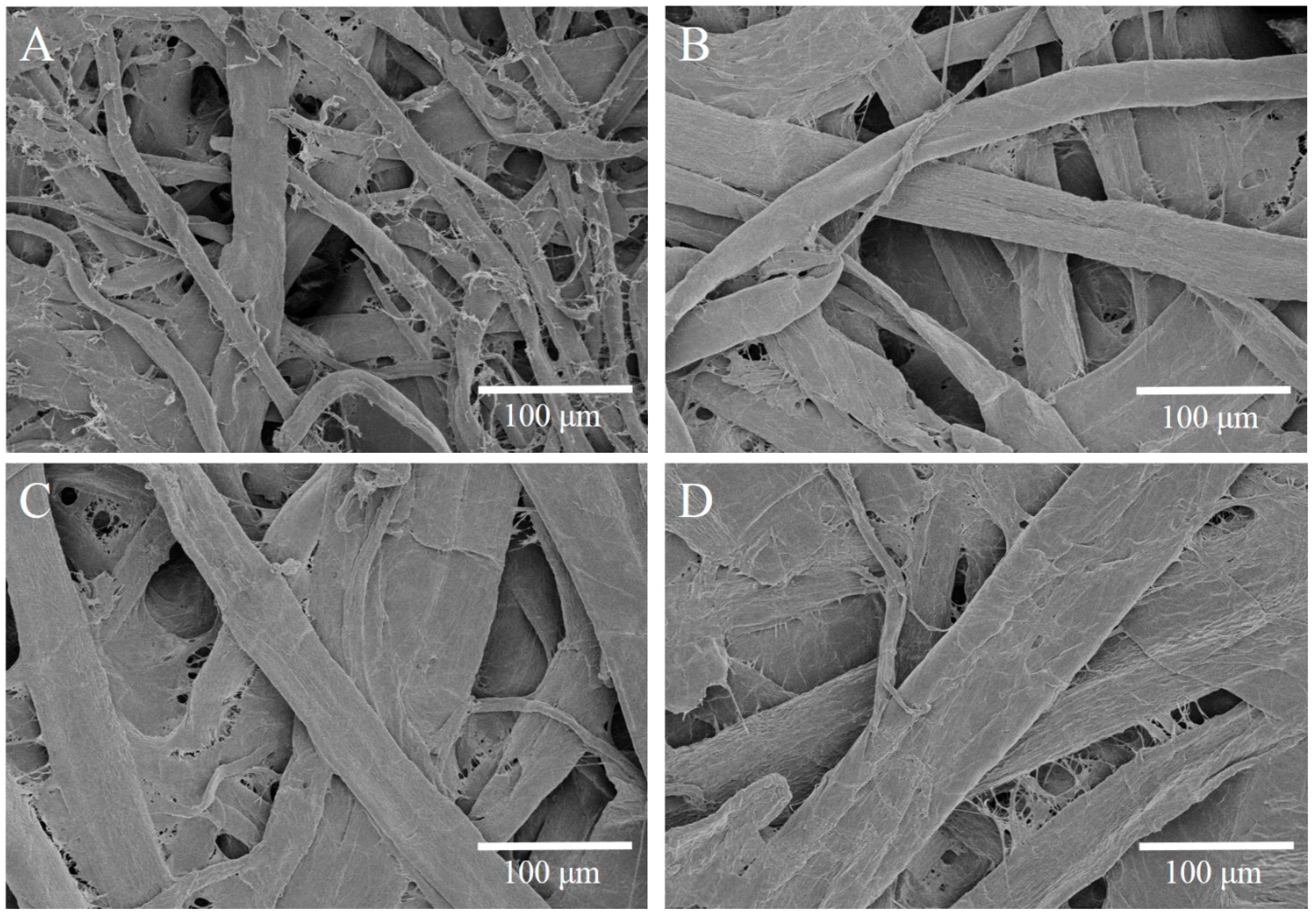 Polymers 10 00015 g002