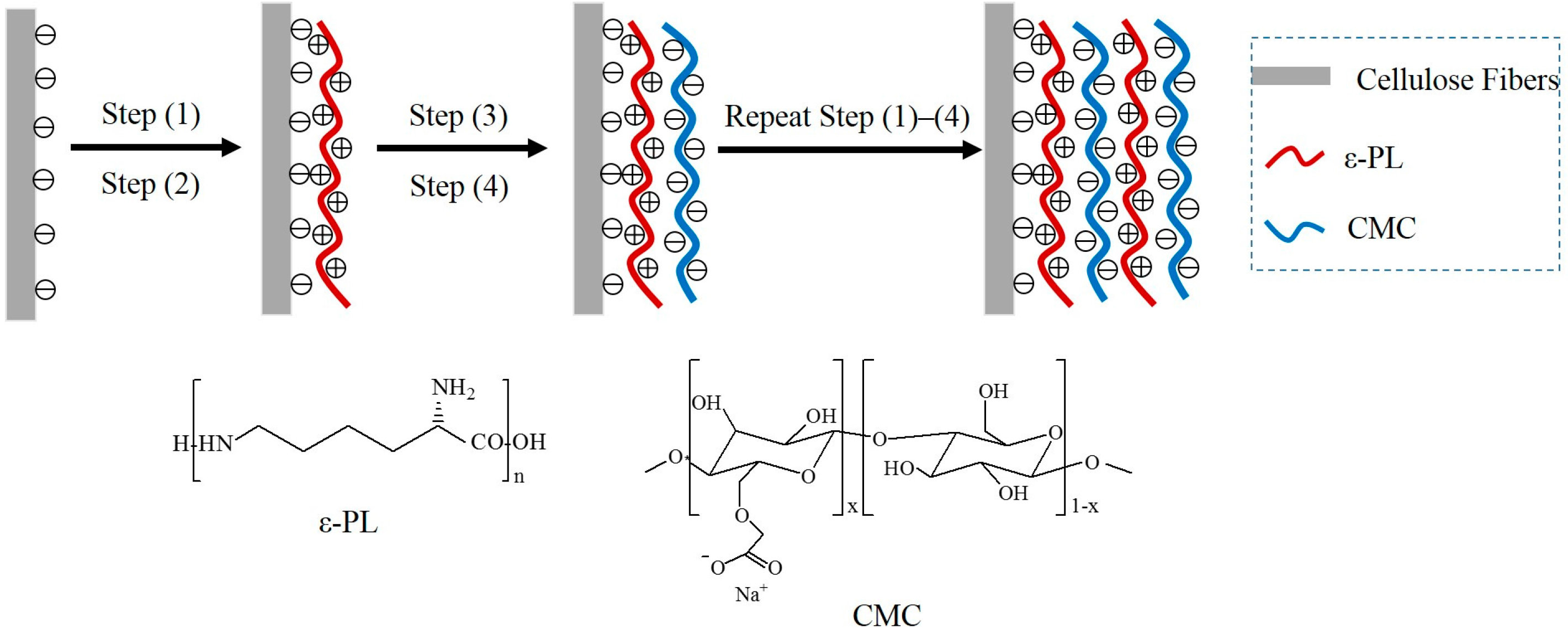 Polymers 10 00015 sch001