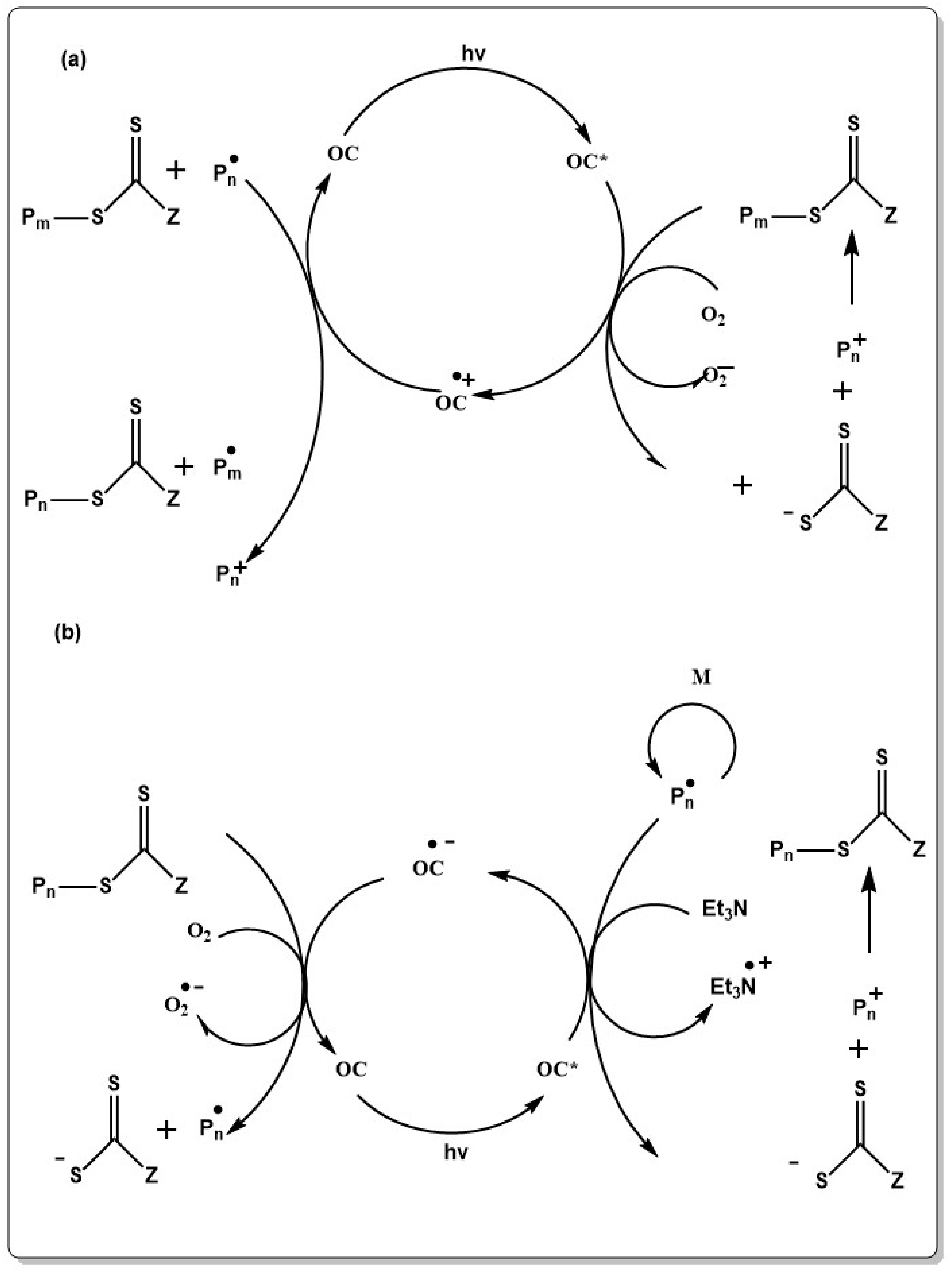Polymers 10 00035 sch011