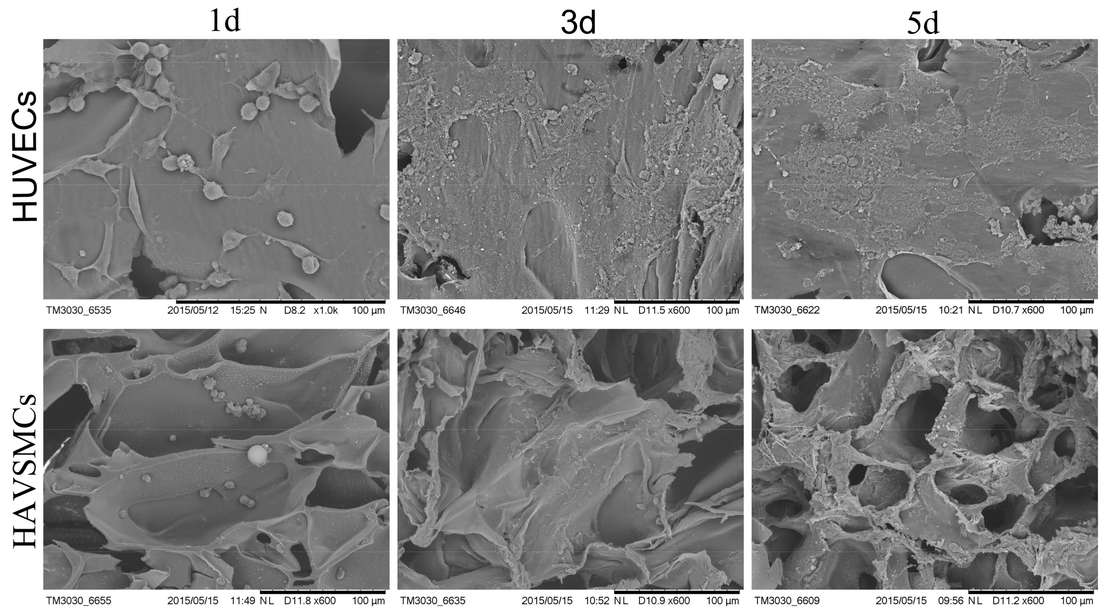 Polymers 10 00039 g004