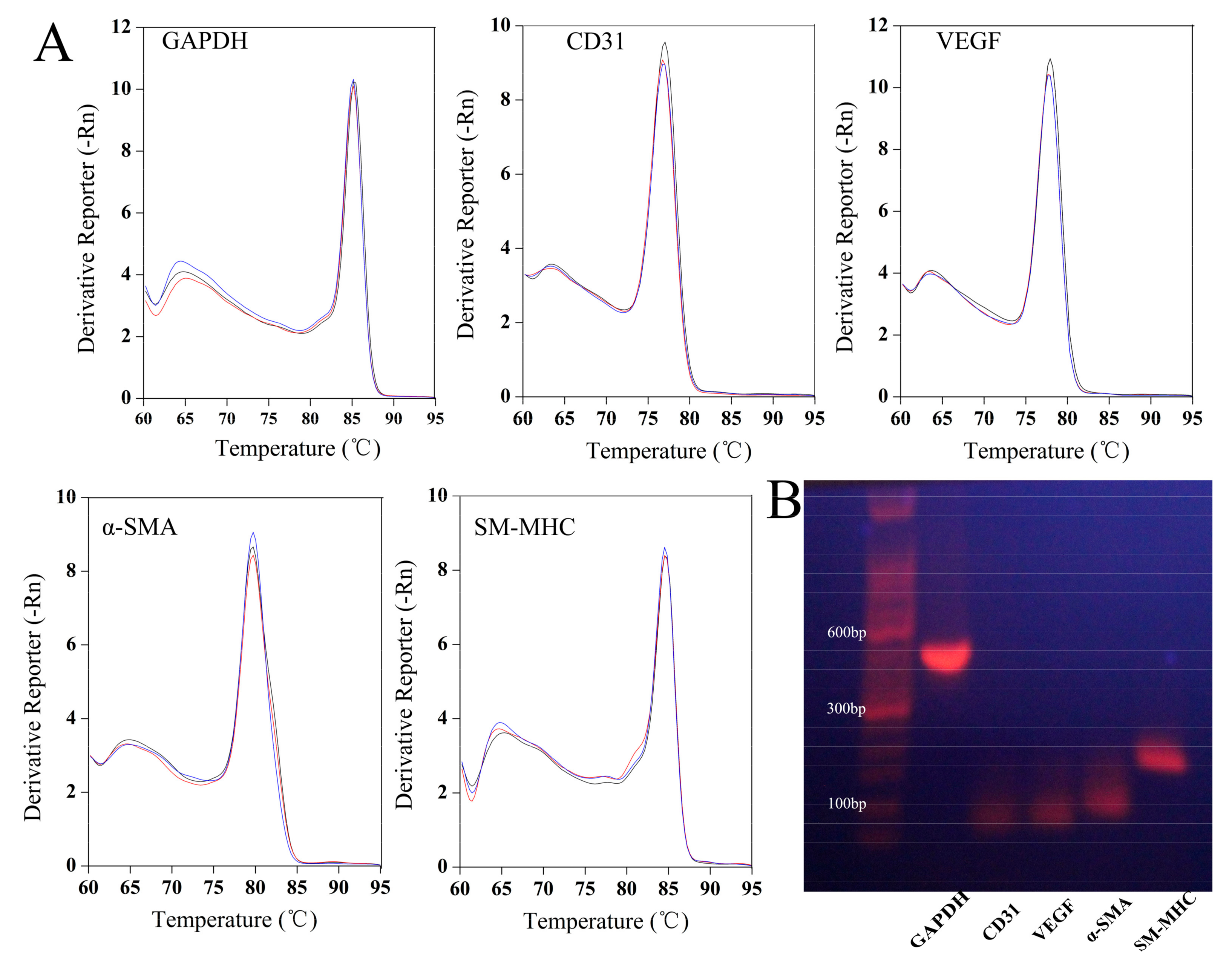 Polymers 10 00039 g005