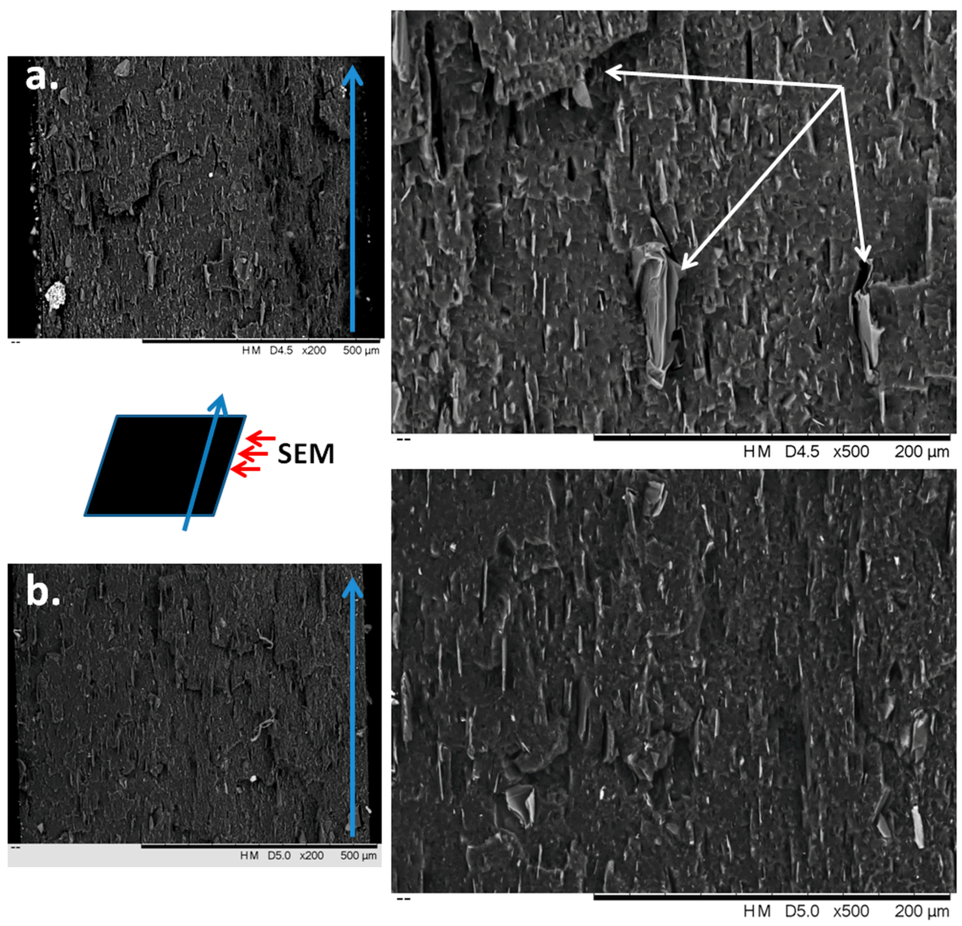 Polymers 10 00046 g010 Polymers 10 00046 g010