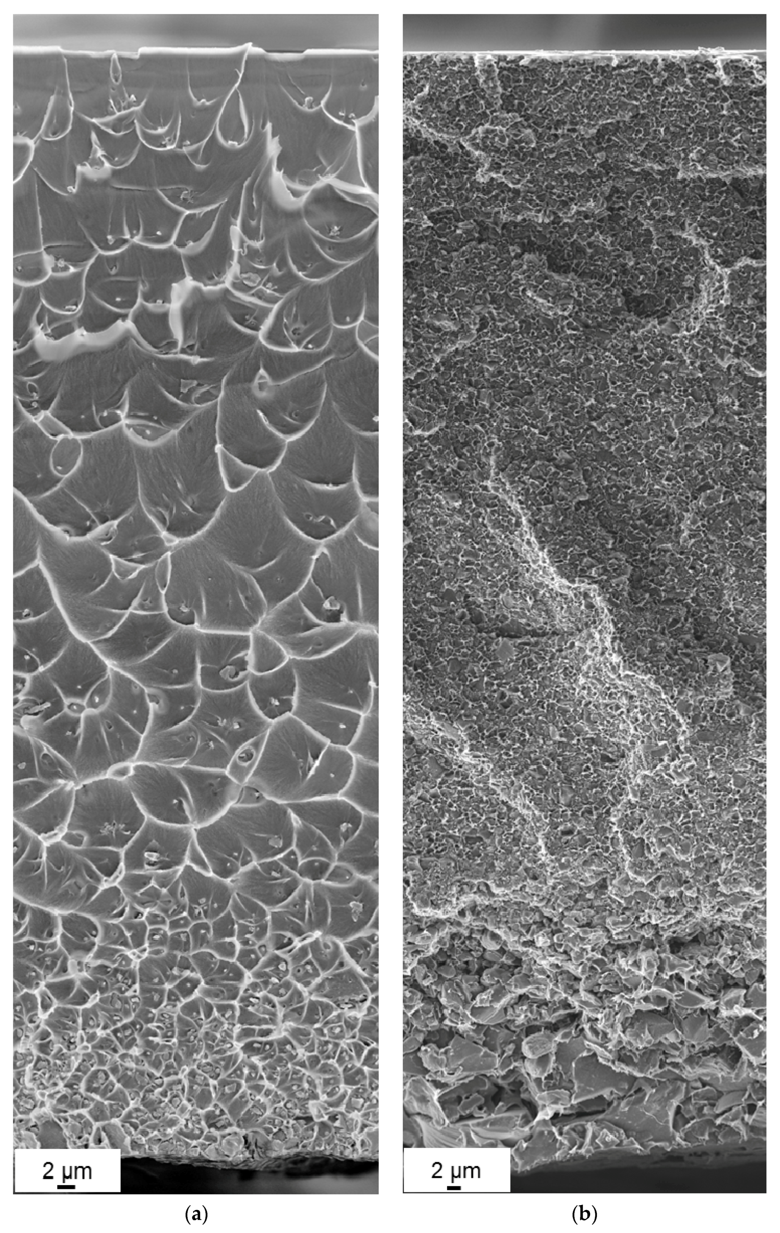 Polymers 10 00051 g005