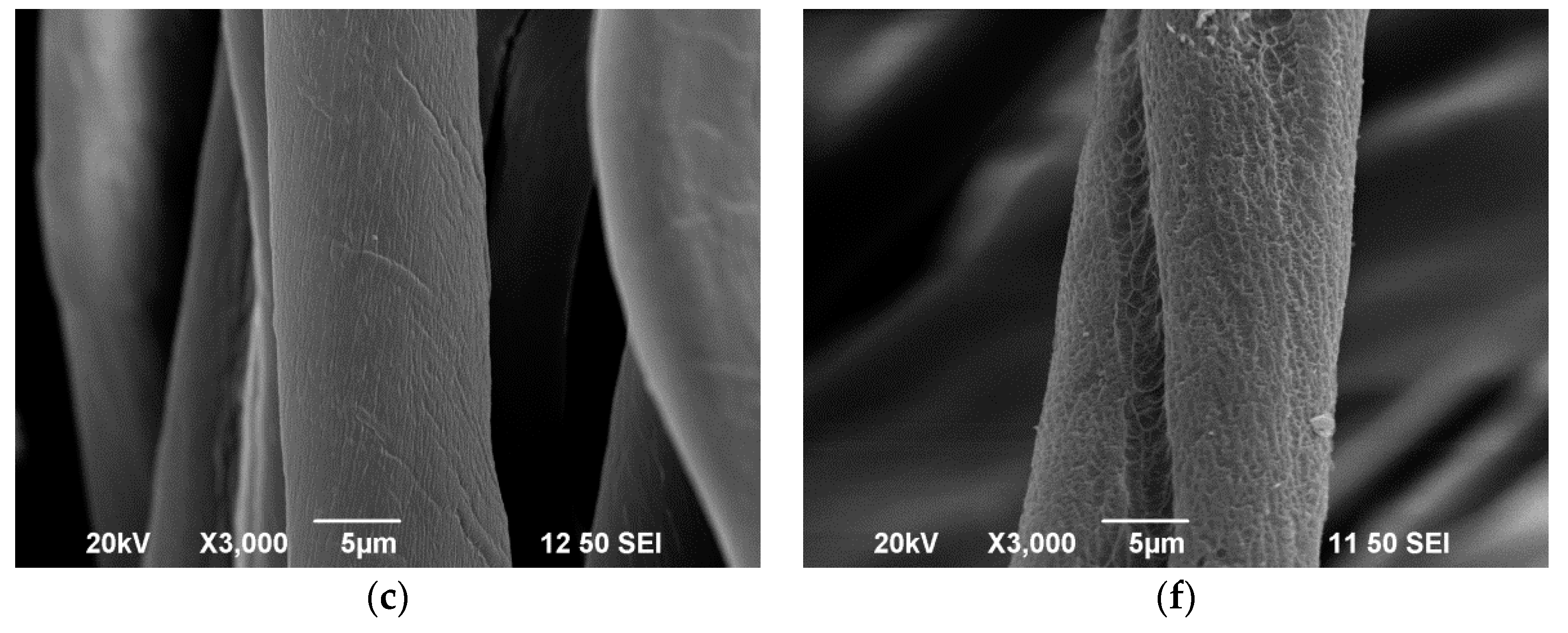 Polymers 10 00053 g009b