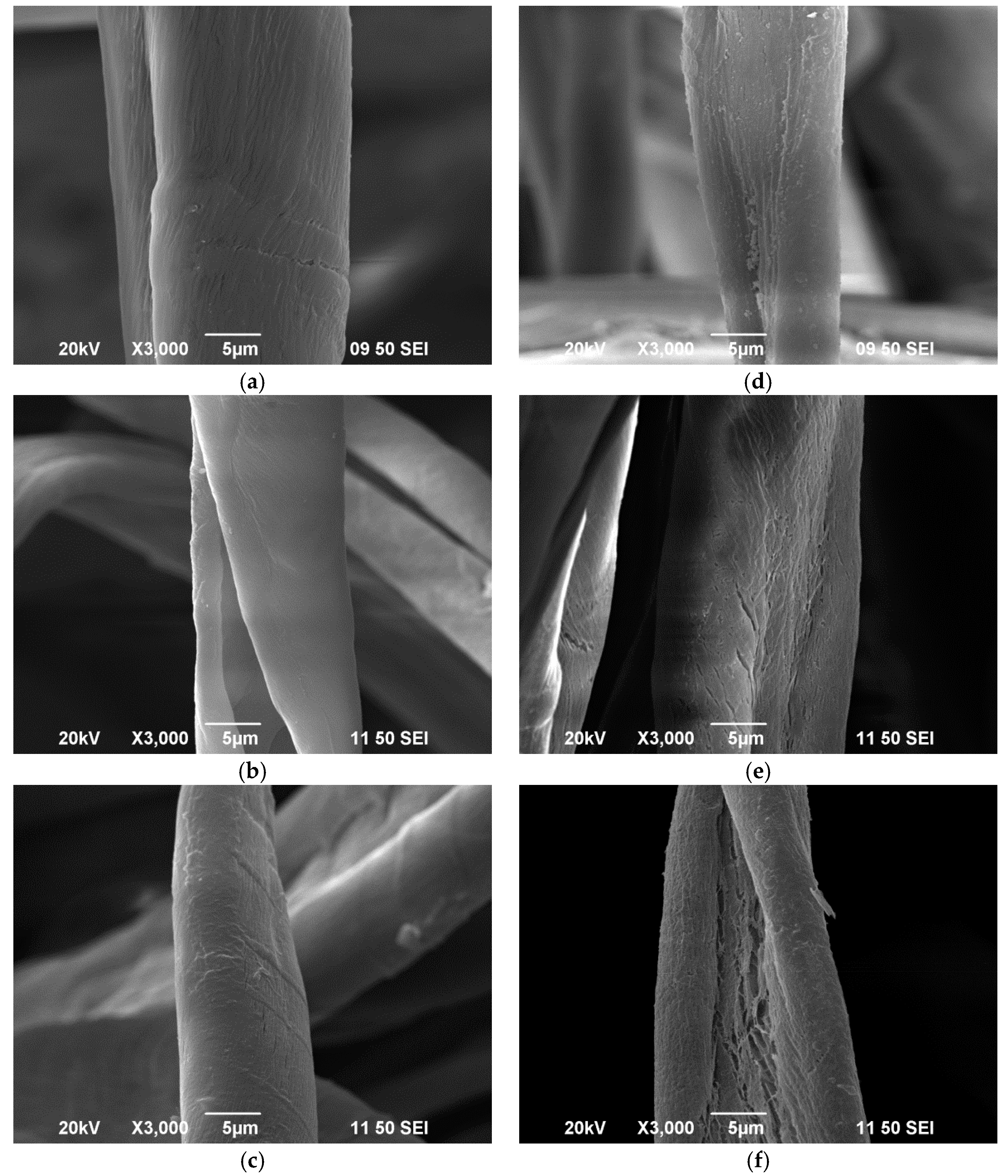 Polymers 10 00053 g010