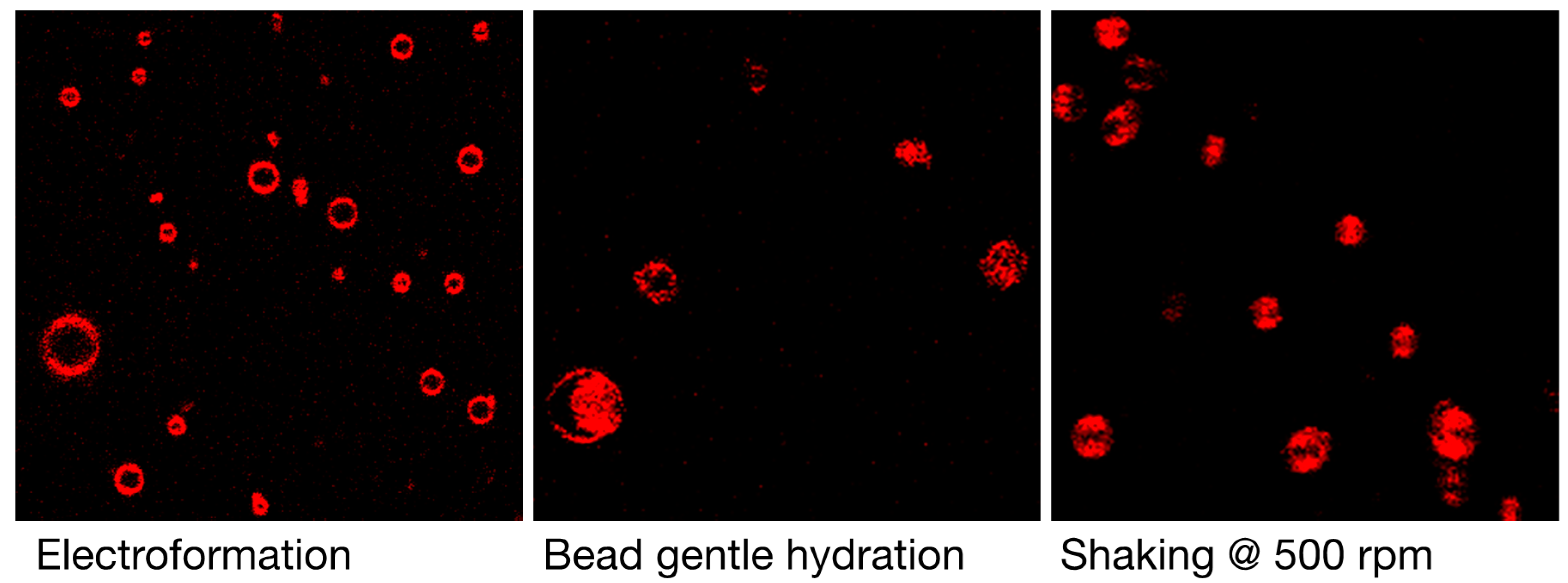 Polymers 10 00054 g002