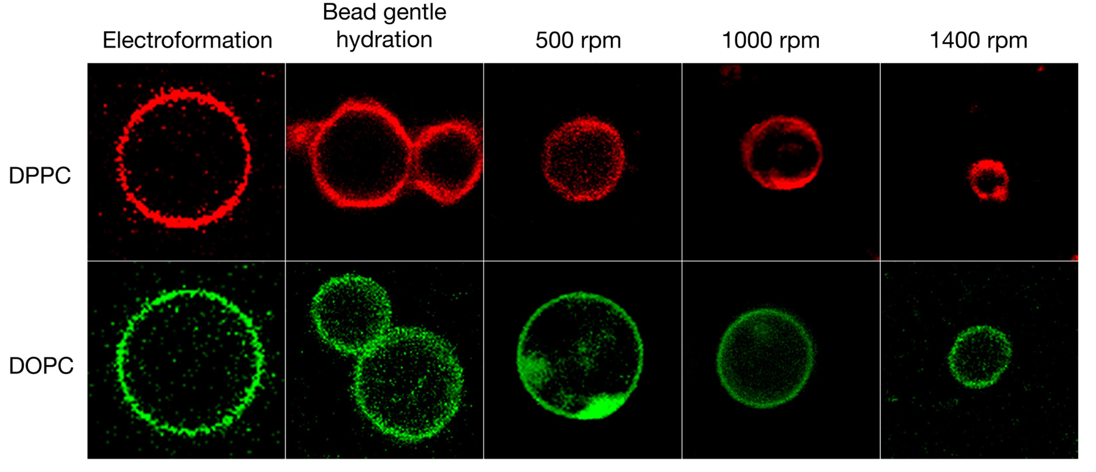 Polymers 10 00054 g003