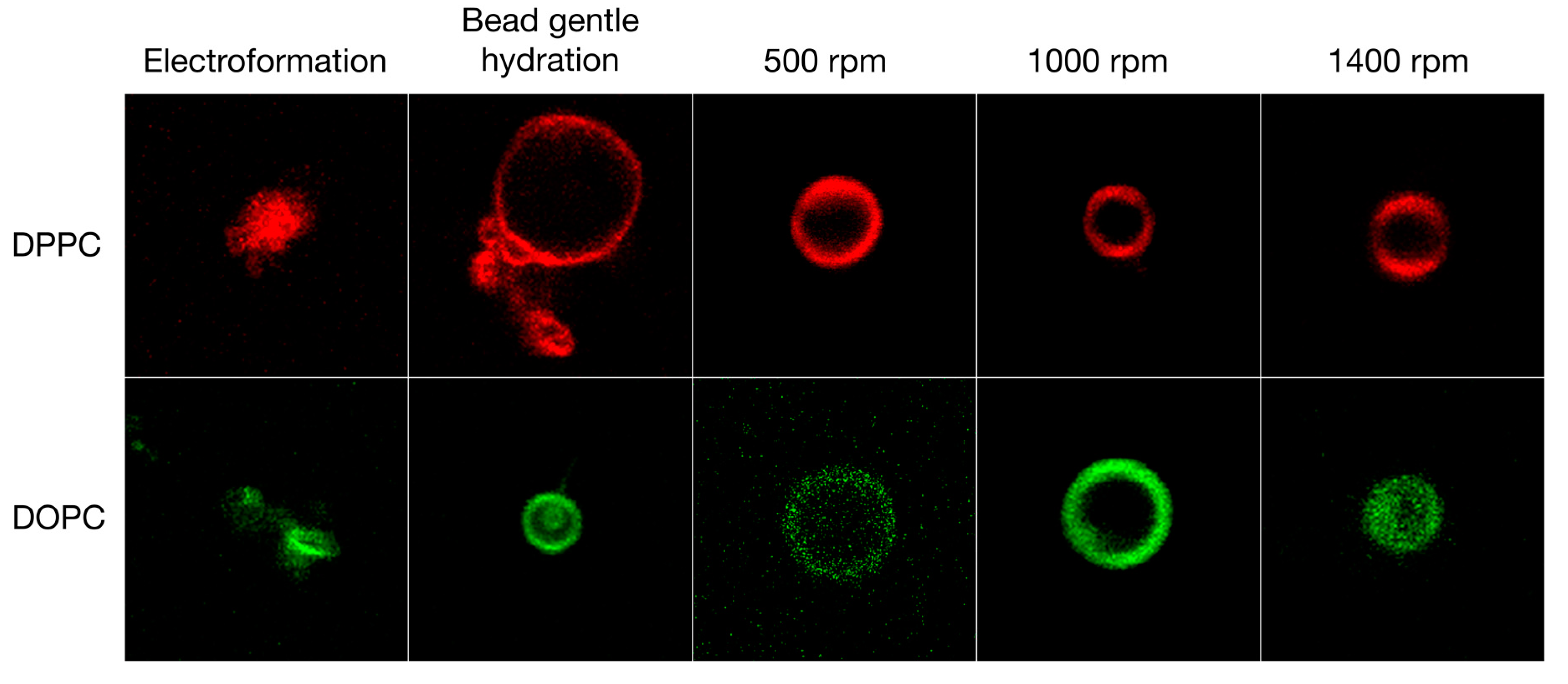 Polymers 10 00054 g004