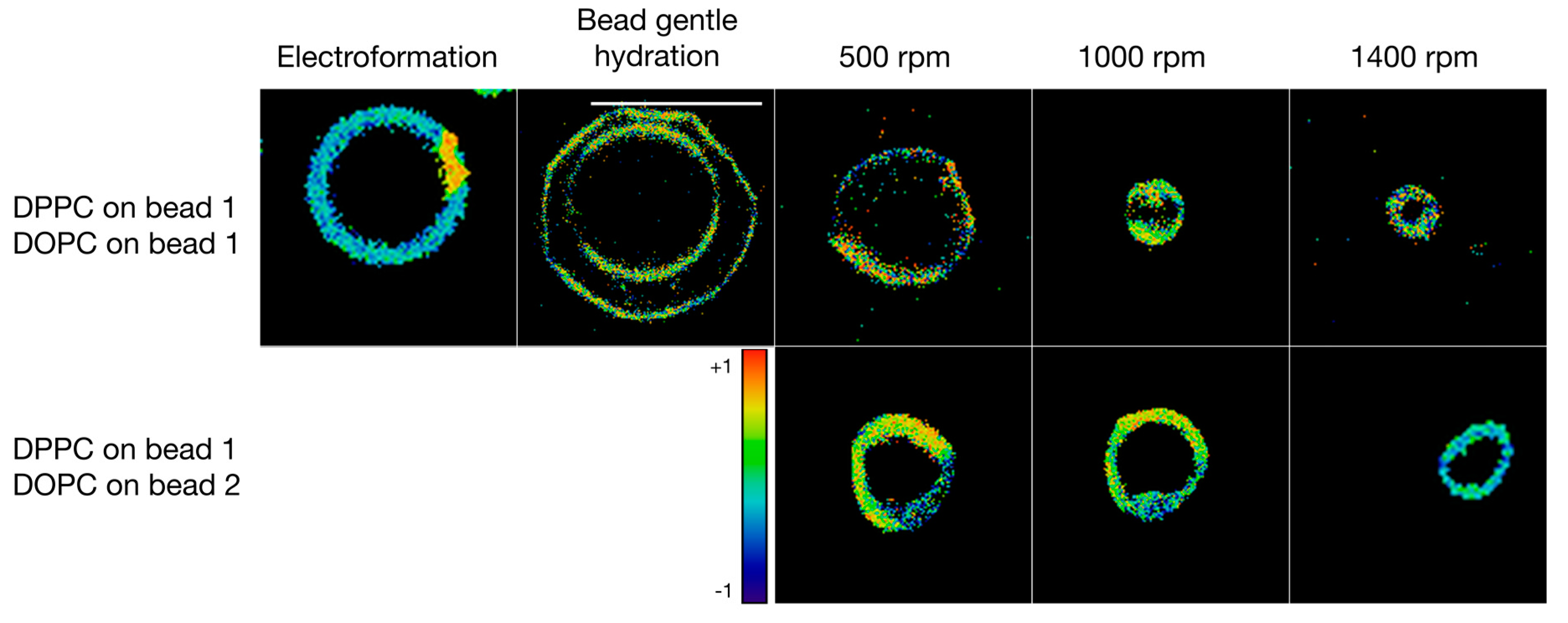 Polymers 10 00054 g005