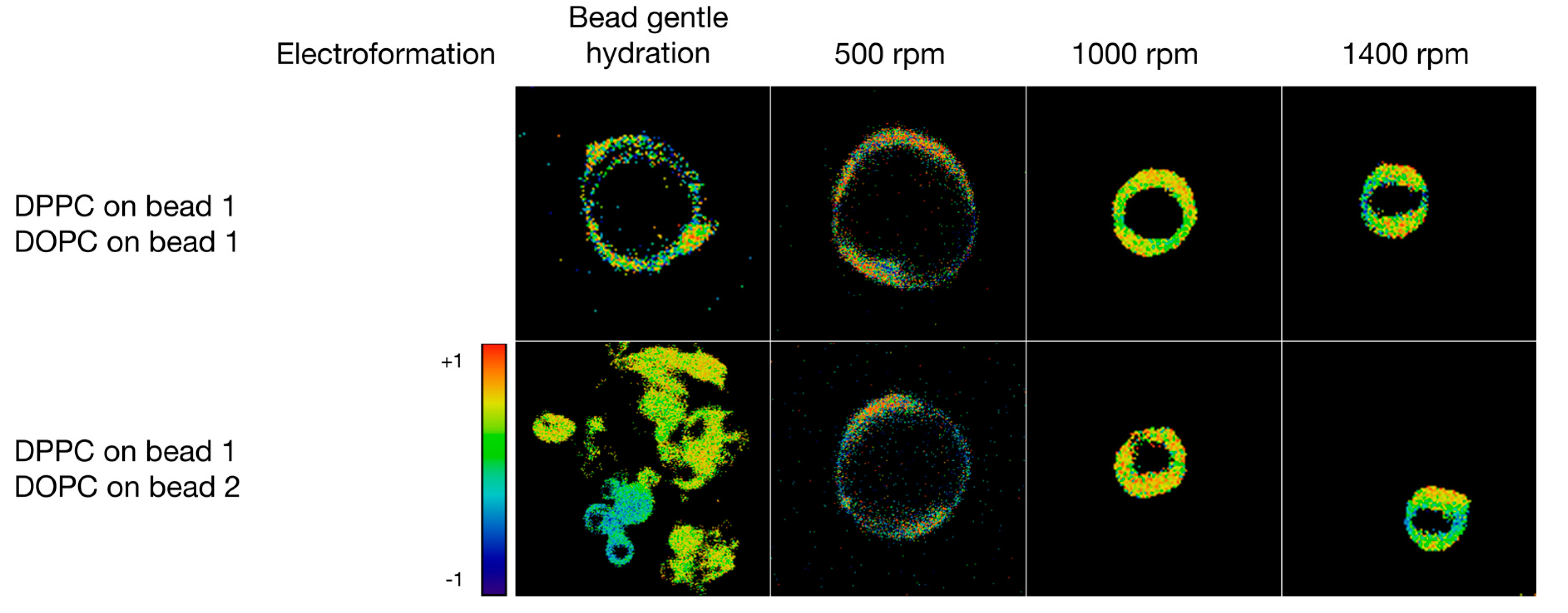 Polymers 10 00054 g006