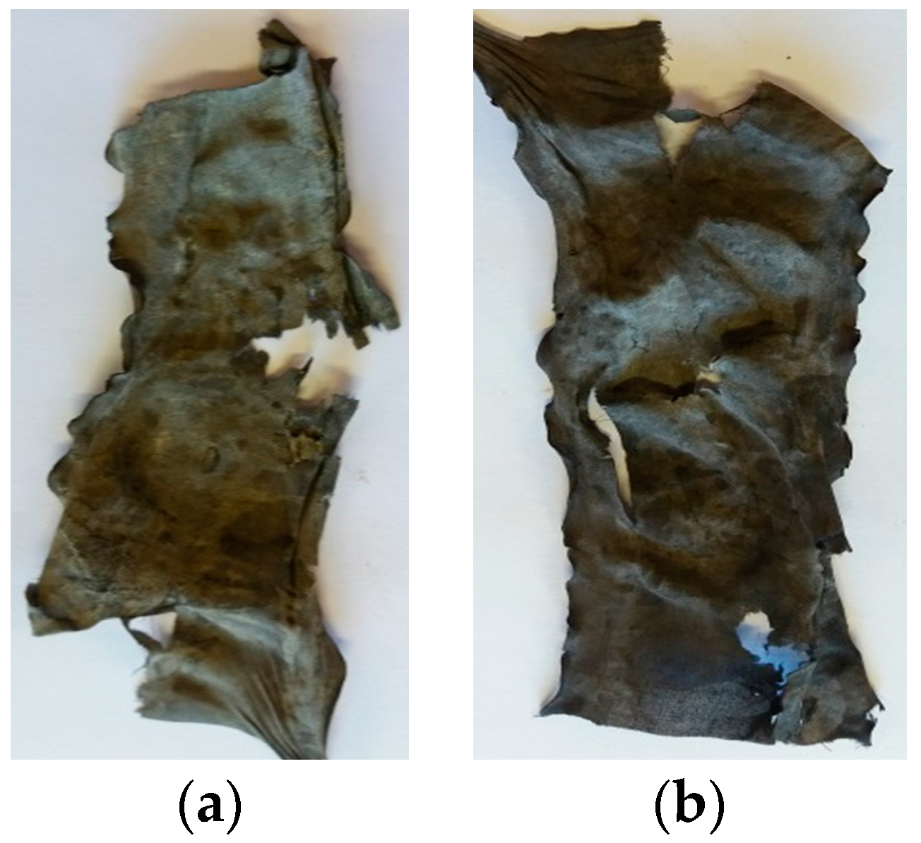 Polymers 10 00057 g010