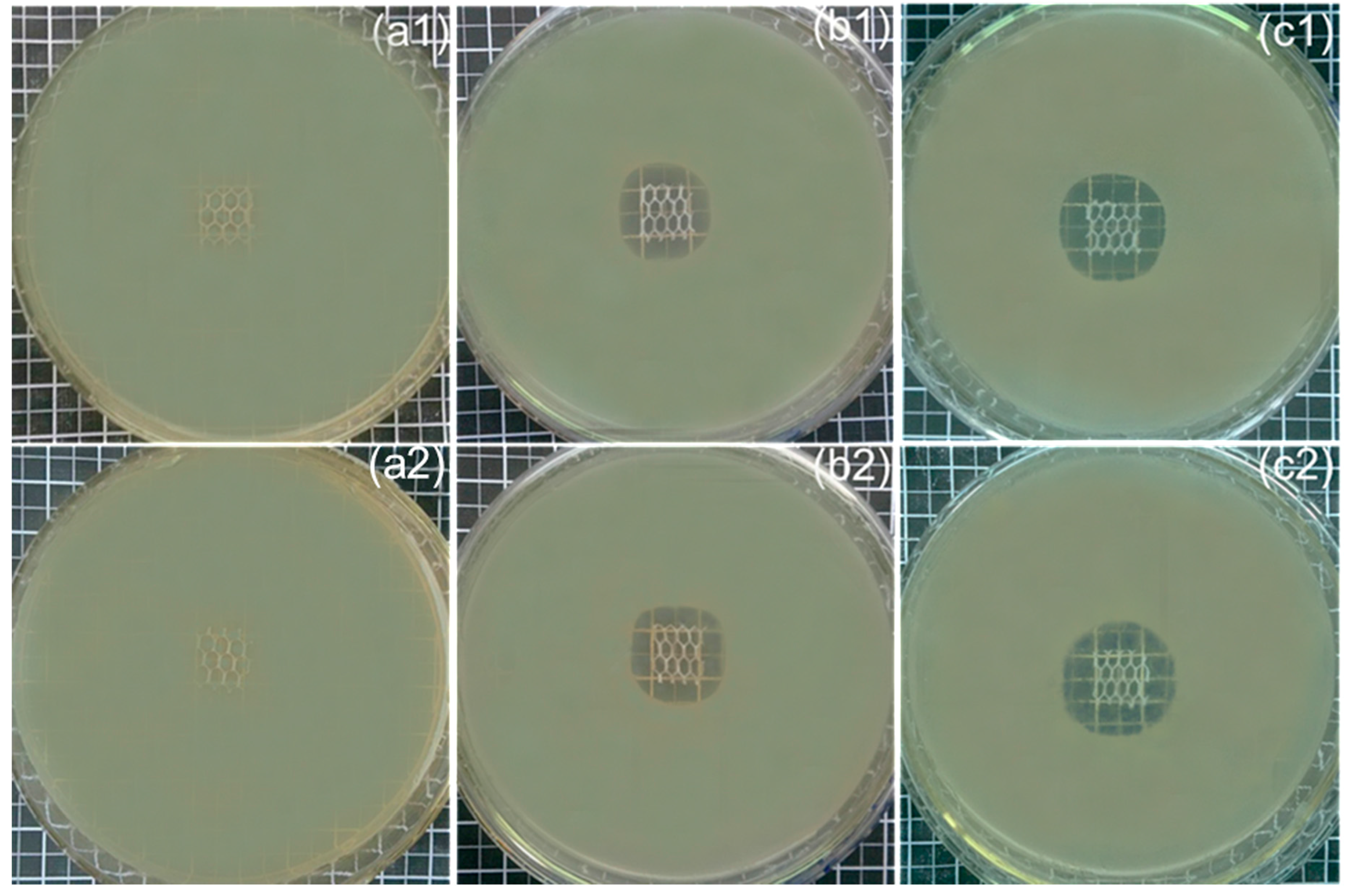 Polymers 10 00058 g008
