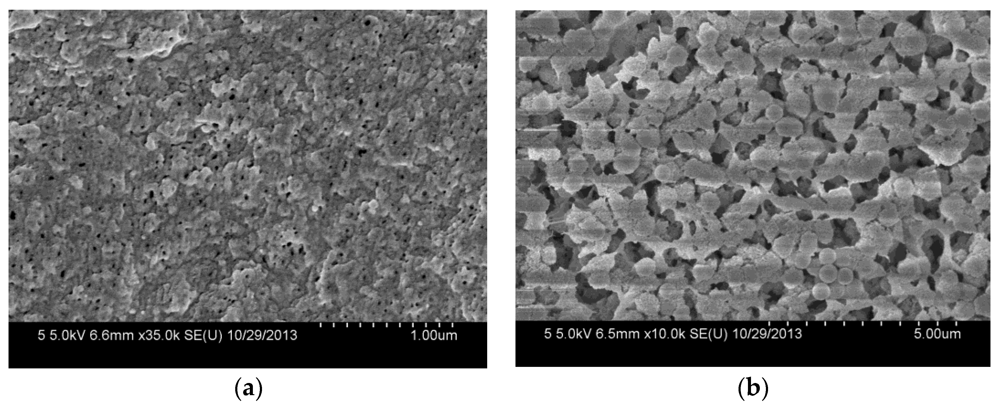 Polymers 10 00059 g005 Polymers 10 00059 g005