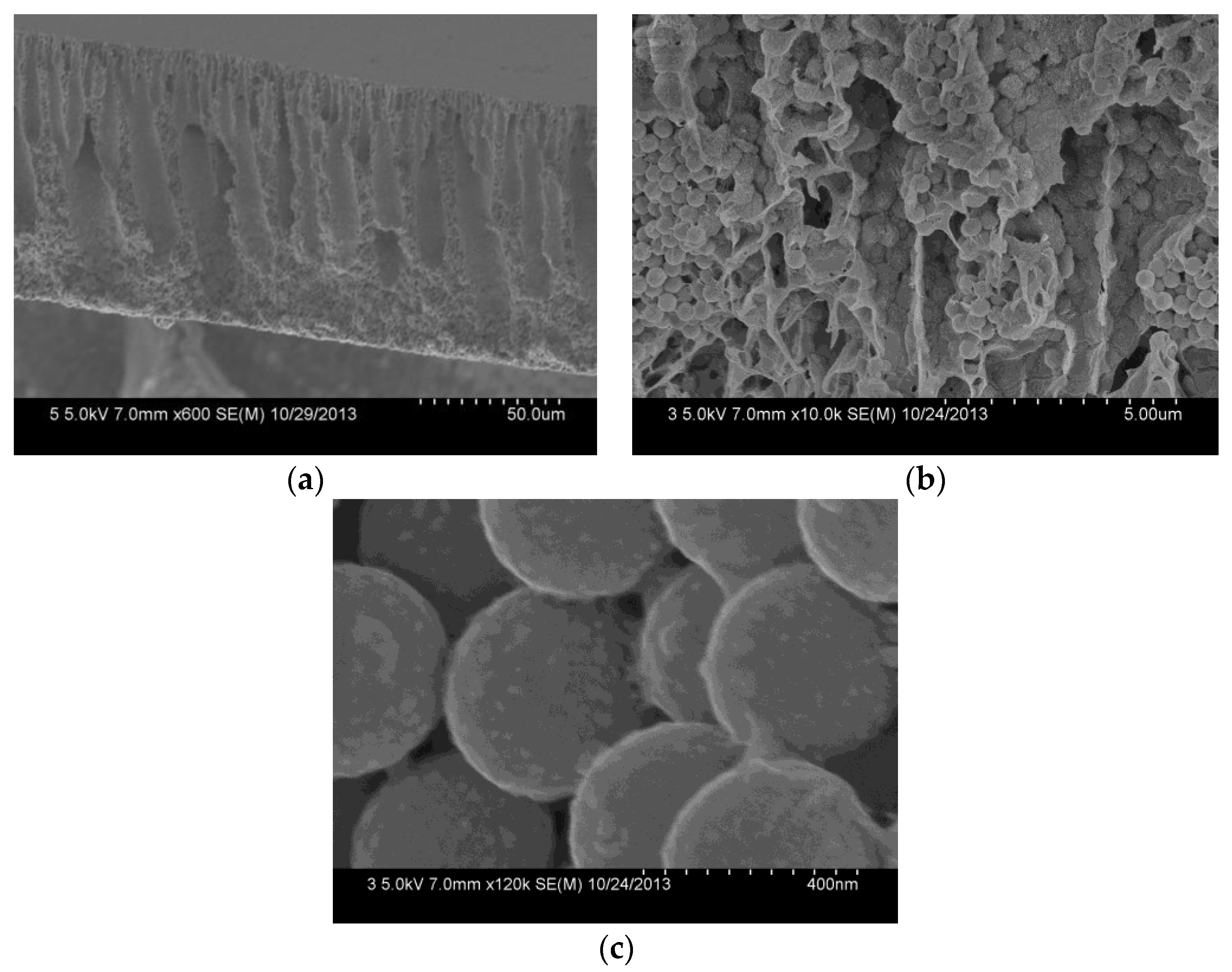 Polymers 10 00059 g006 Polymers 10 00059 g006