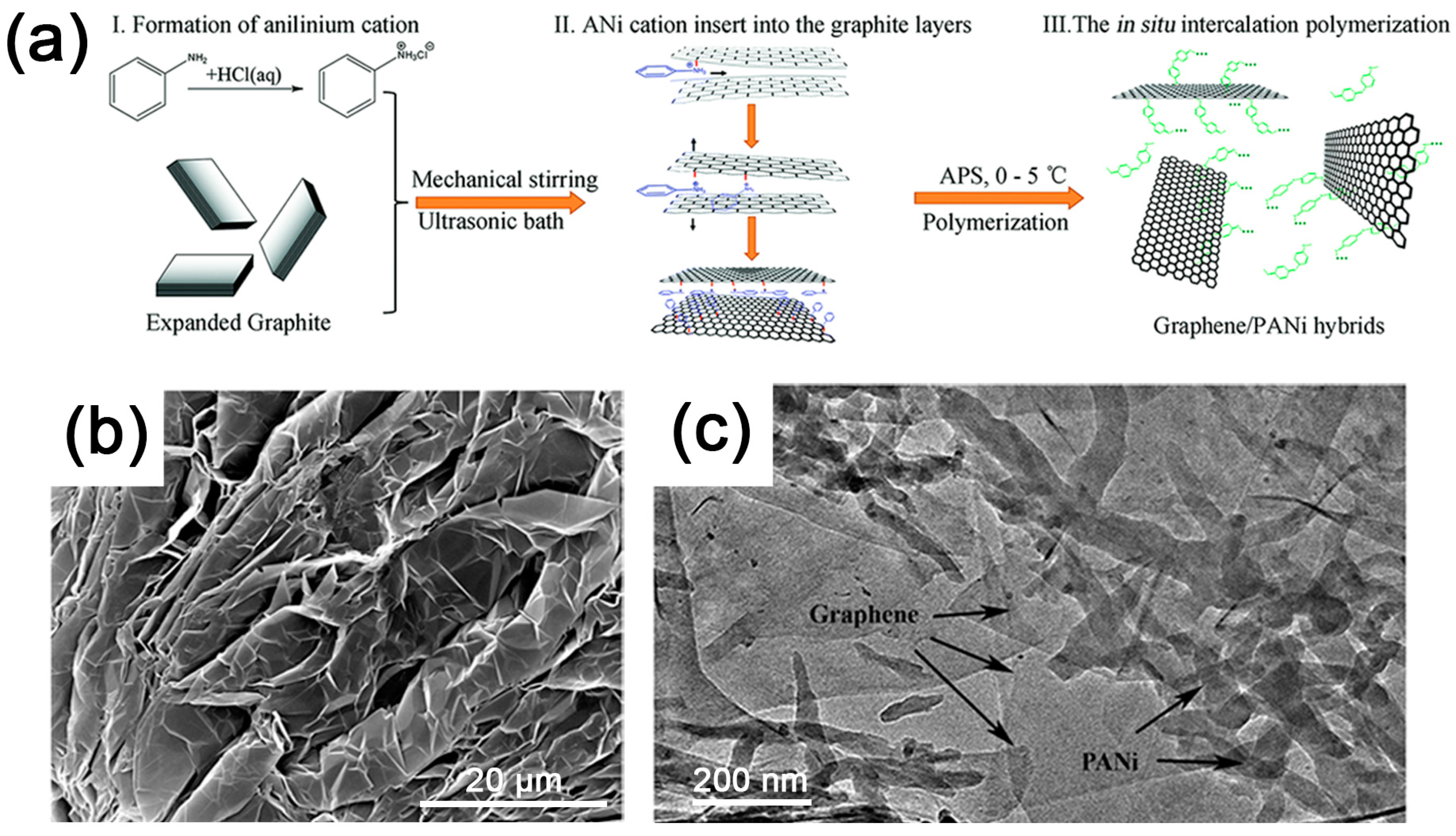 Polymers 10 00061 g008