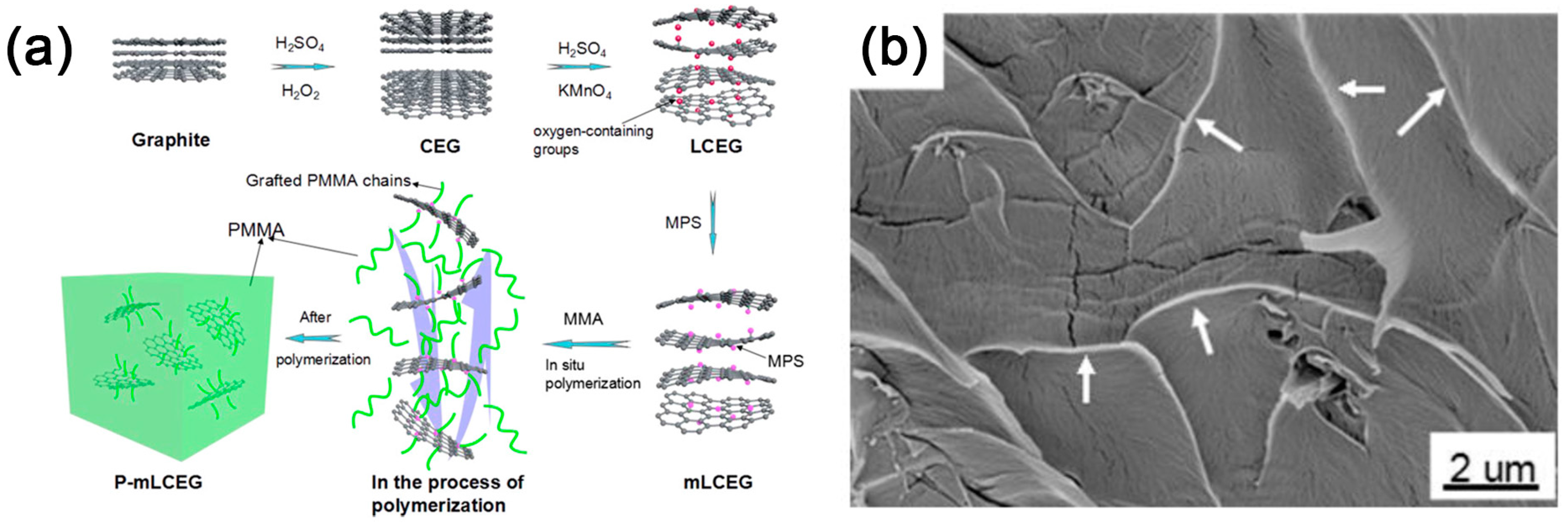 Polymers 10 00061 g009