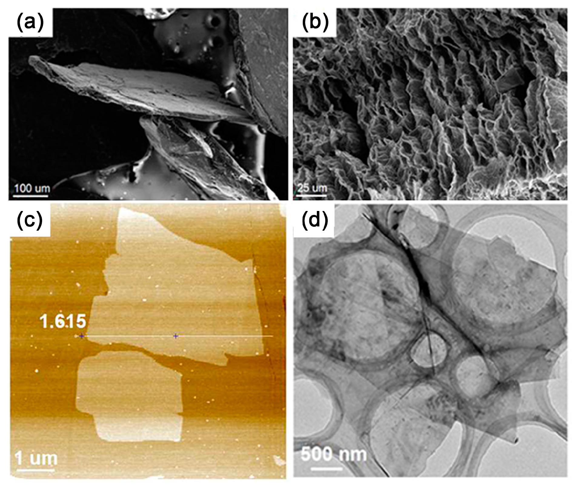 Polymers 10 00061 g011