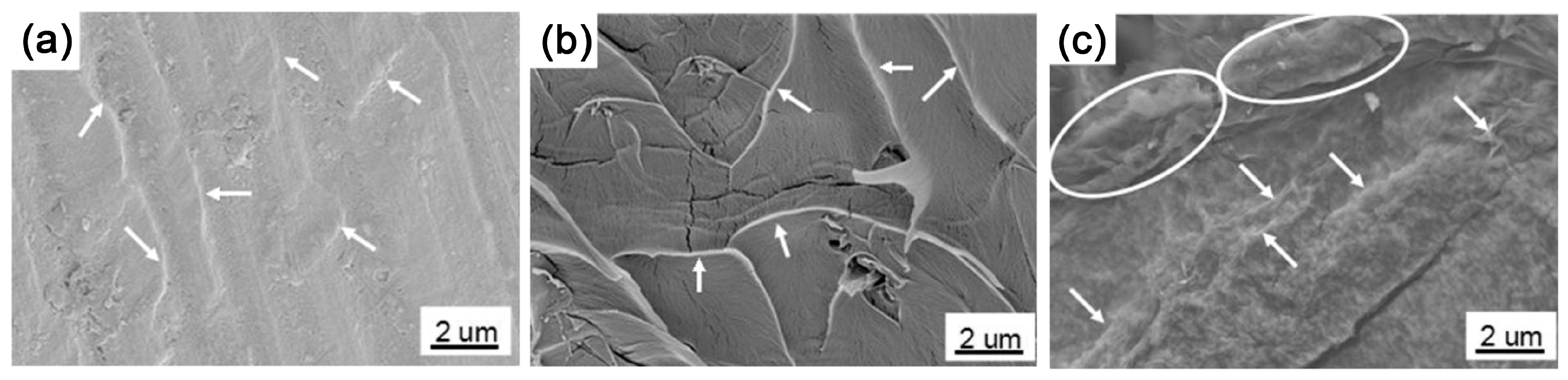 Polymers 10 00061 g014