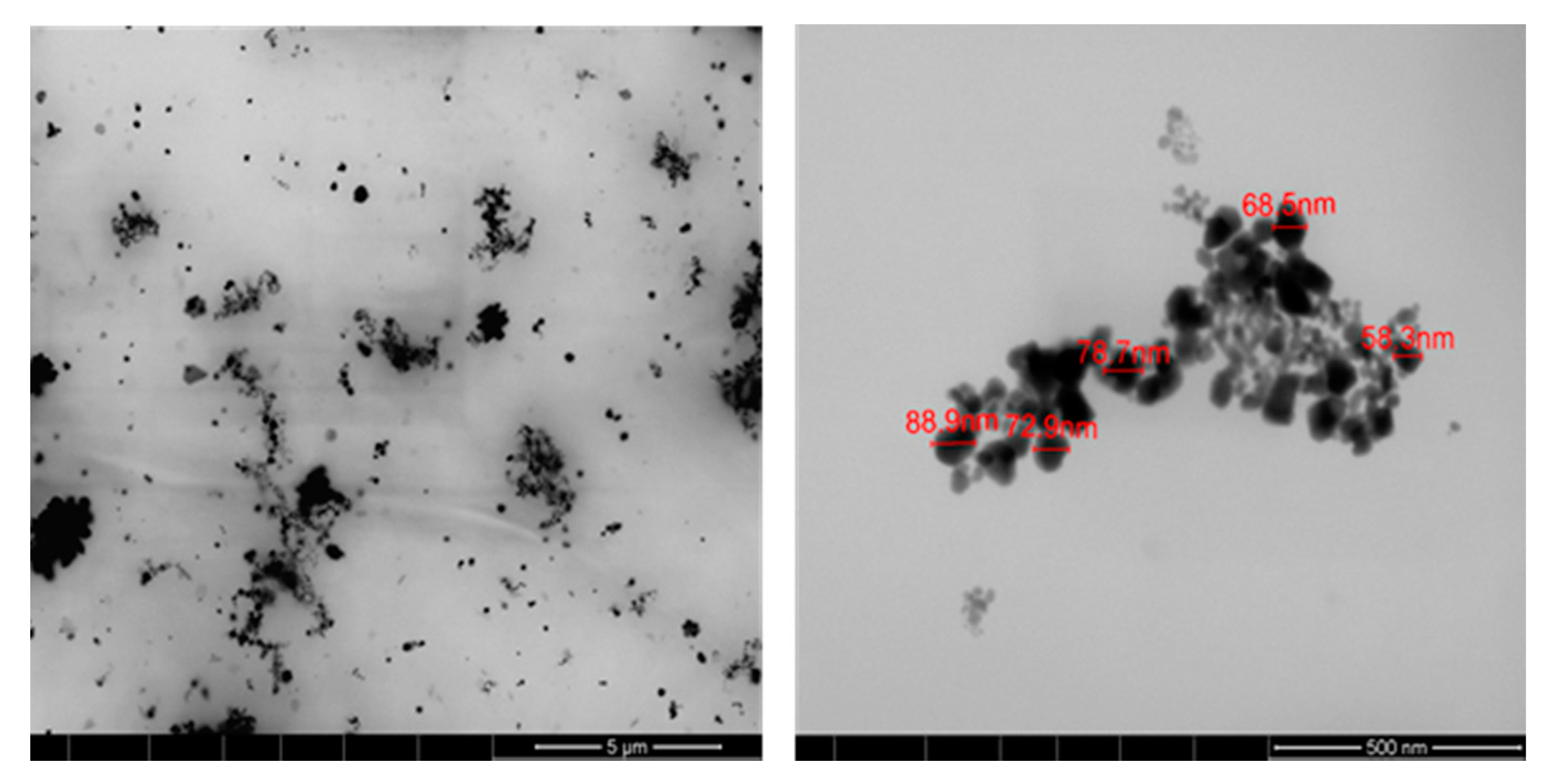 Polymers 10 00063 g006