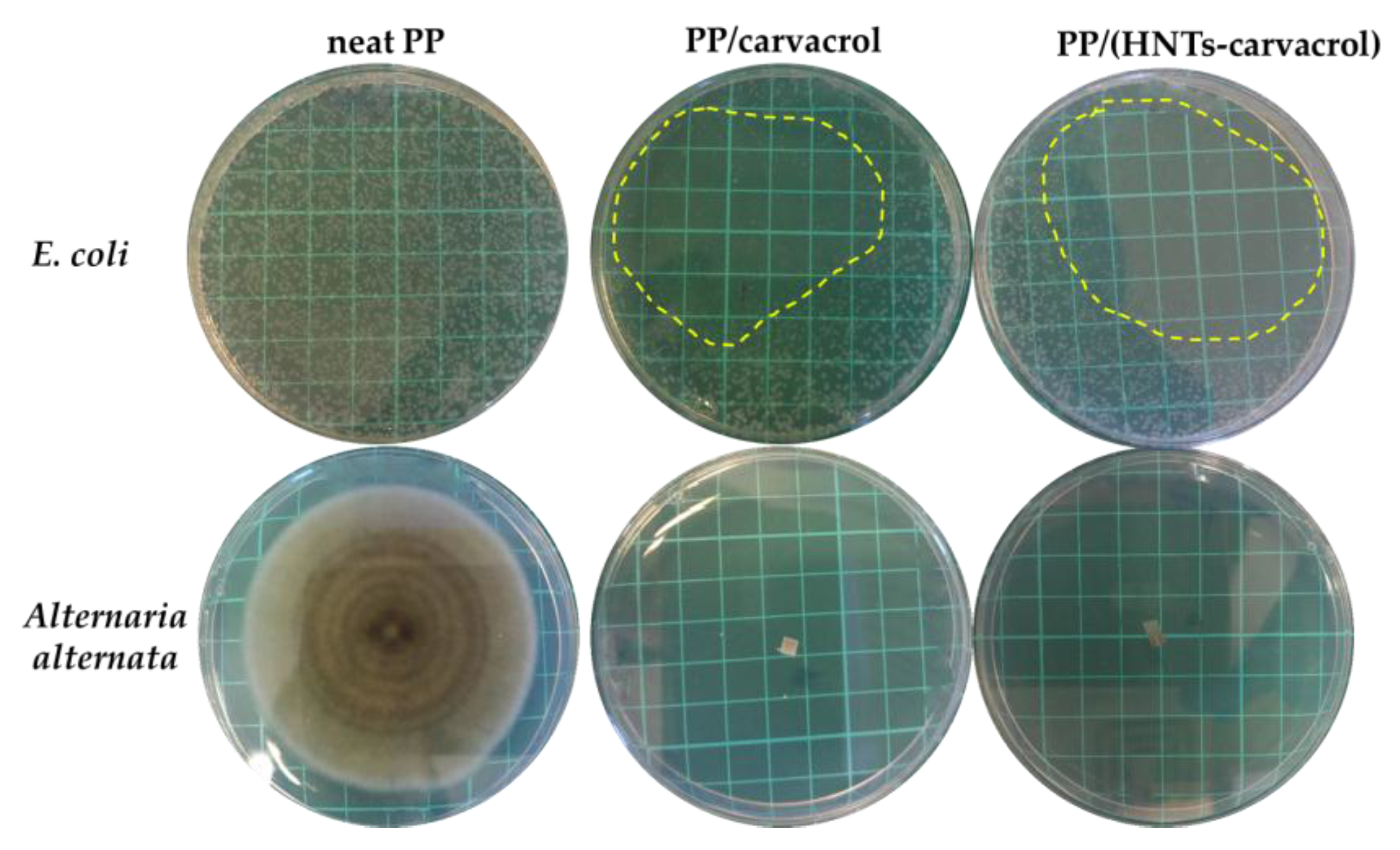Polymers 10 00079 g006 Polymers 10 00079 g006